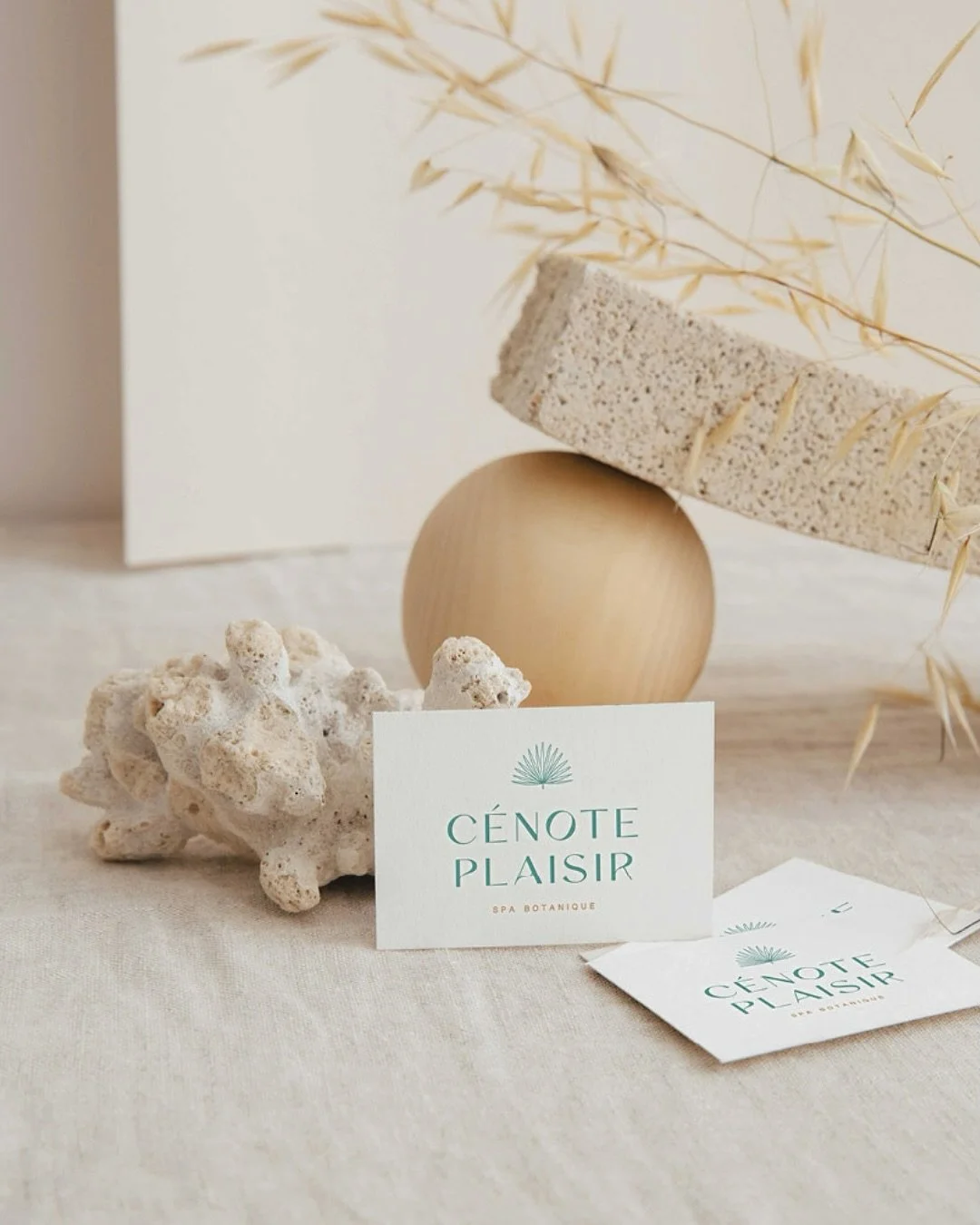 4 ans 🎂 de collaboration avec les instituts de massages @cenote_plaisir 🌴🌴🌴 fond&eacute;s par Ga&euml;lle Rigal ✨

Construction &amp; d&eacute;finition de l&rsquo;ADN de marque, identit&eacute; visuelle, charte graphique, papeterie, design du sit