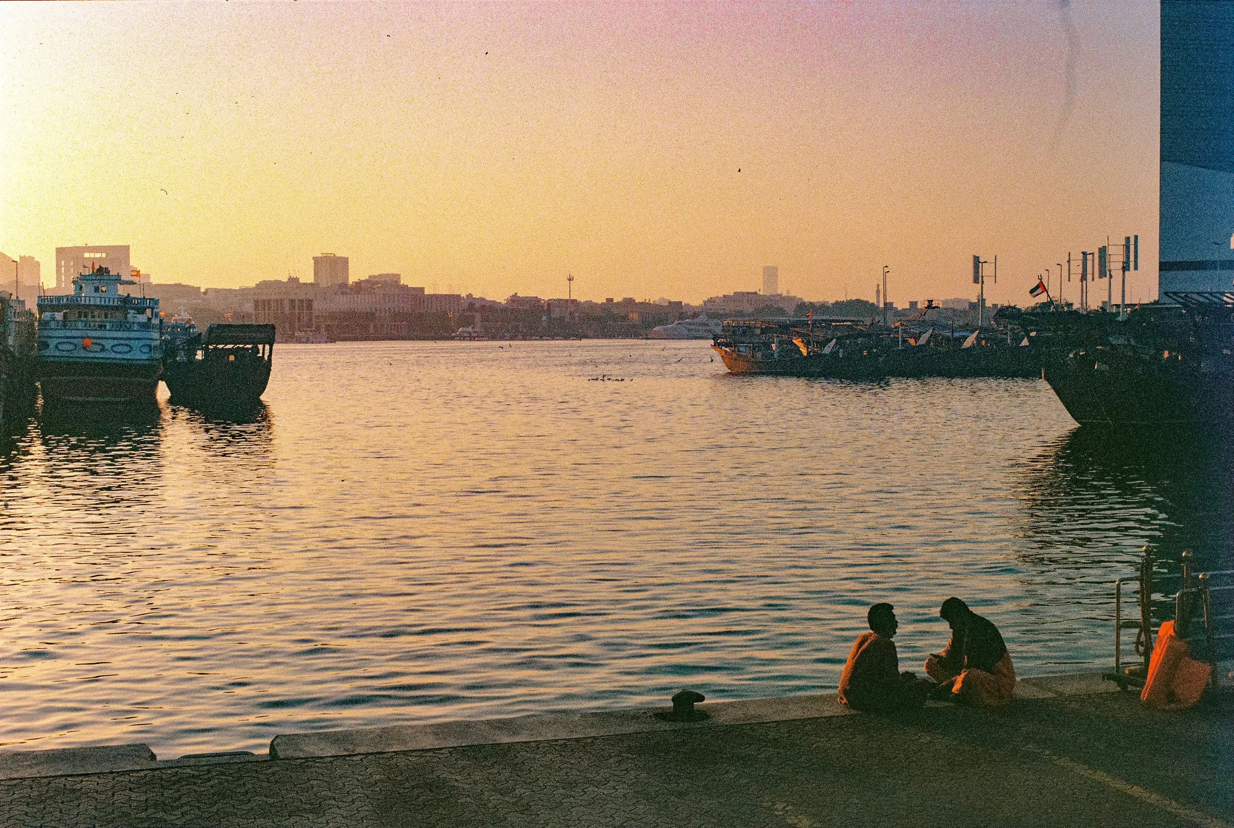 IMG_8329.jpg