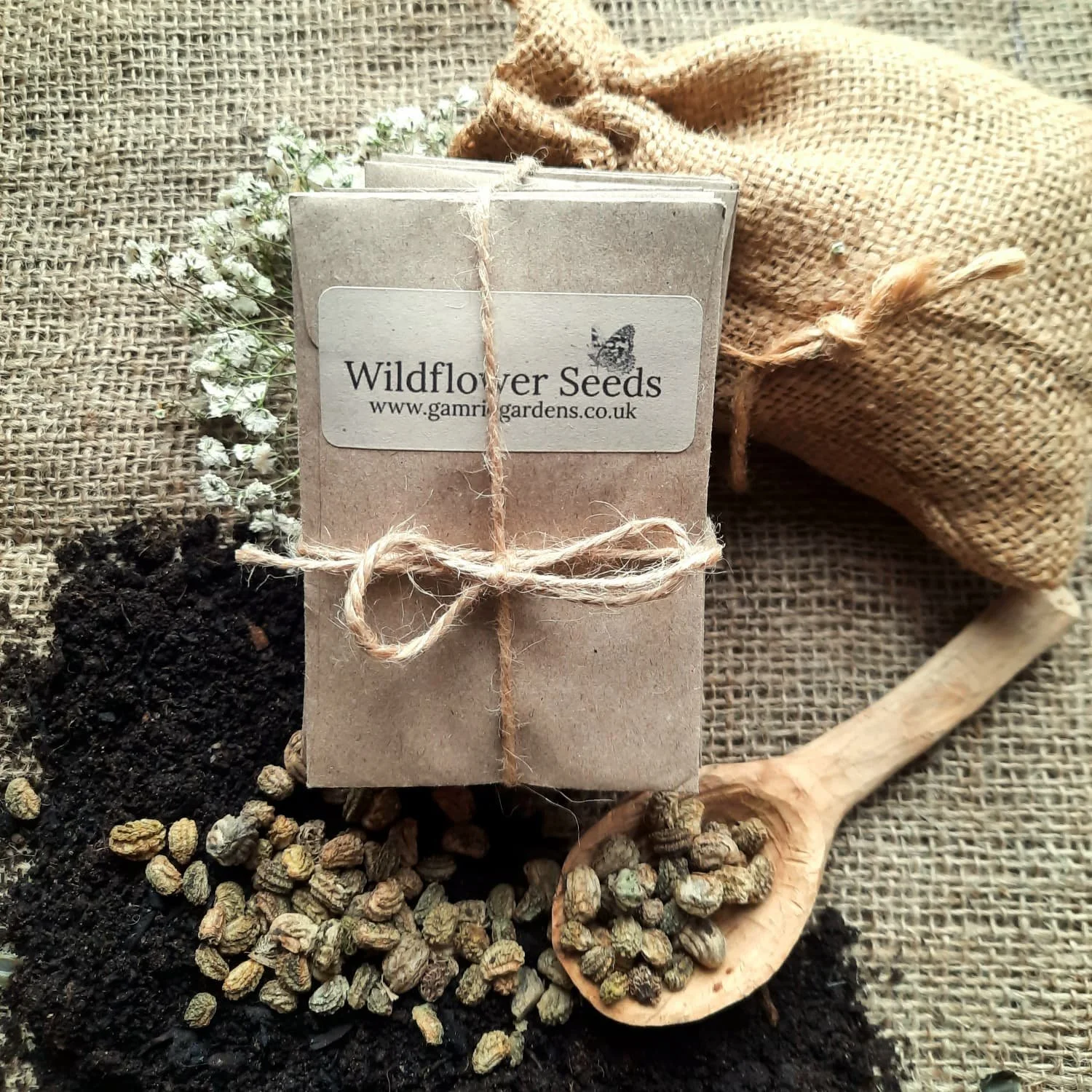 WhatsApp Image 2026-02-15 at 13.20.03.jpeg