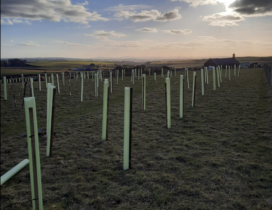 360 trees planted through Aberdeenshire SMA Wids award