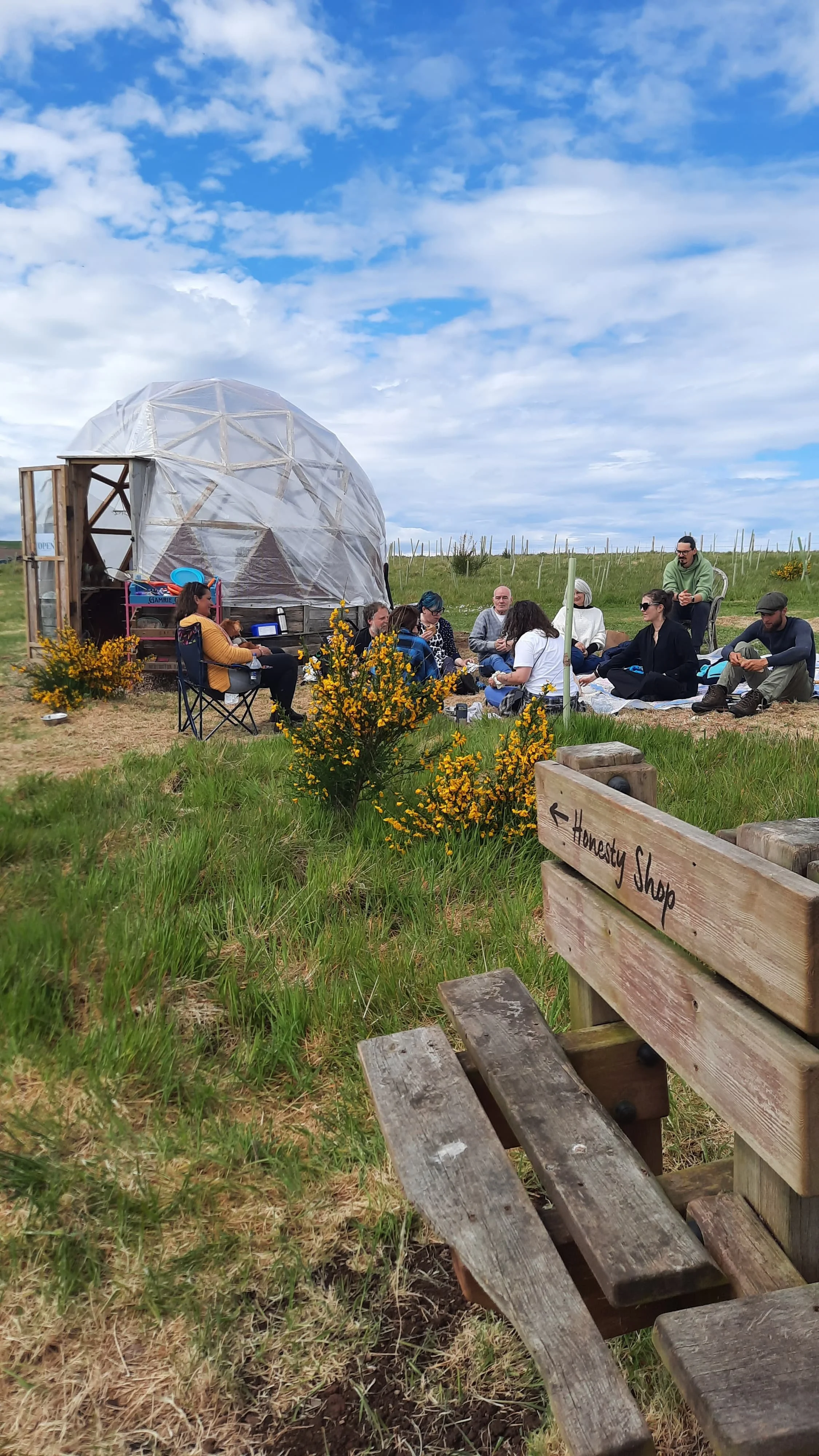 Gamrie Gardens honesty shop reopening early as a spring nursery