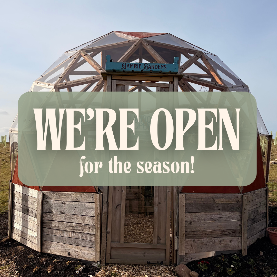 Gamrie Gardens Dome is Open