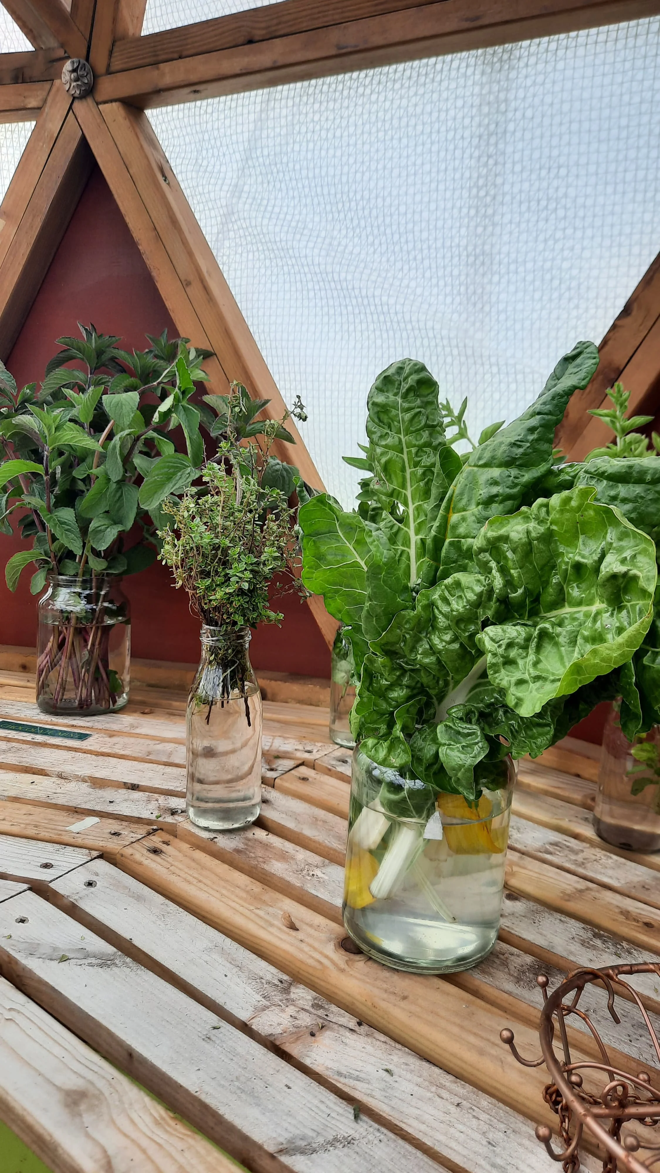 WhatsApp Image 2025-06-11 at 07.43.04 (2).jpeg