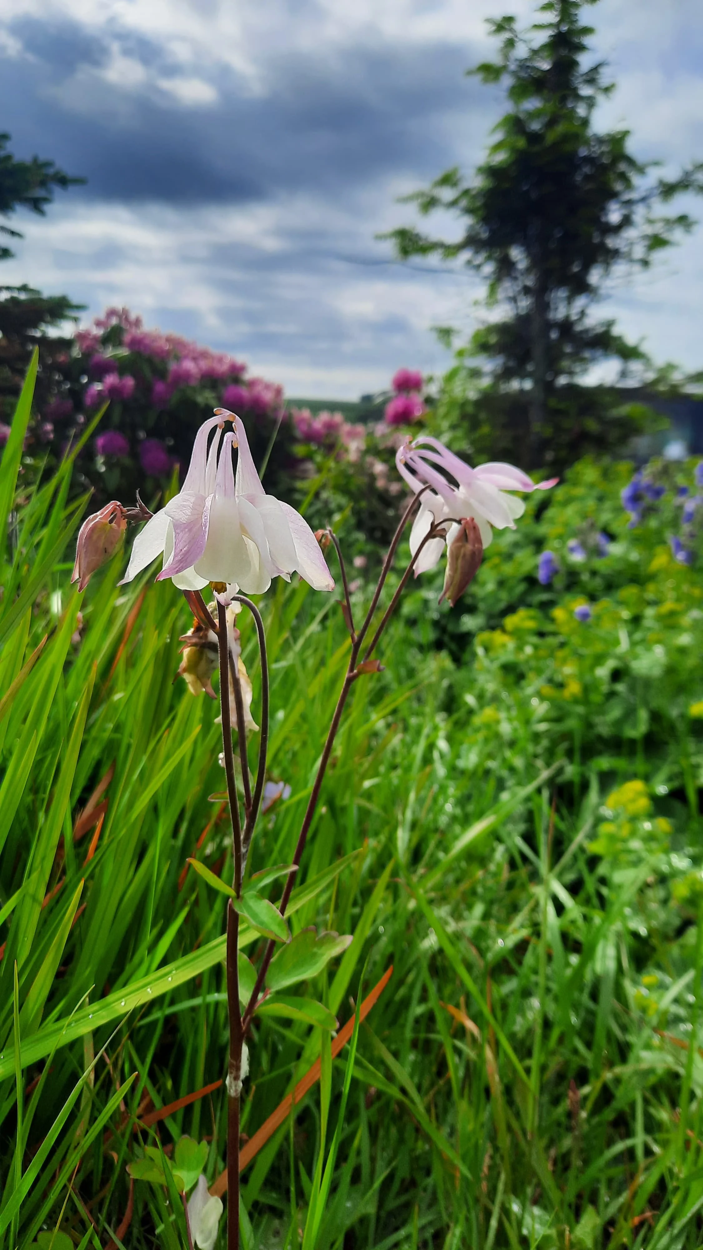 WhatsApp Image 2025-06-11 at 07.43.00 (2).jpeg