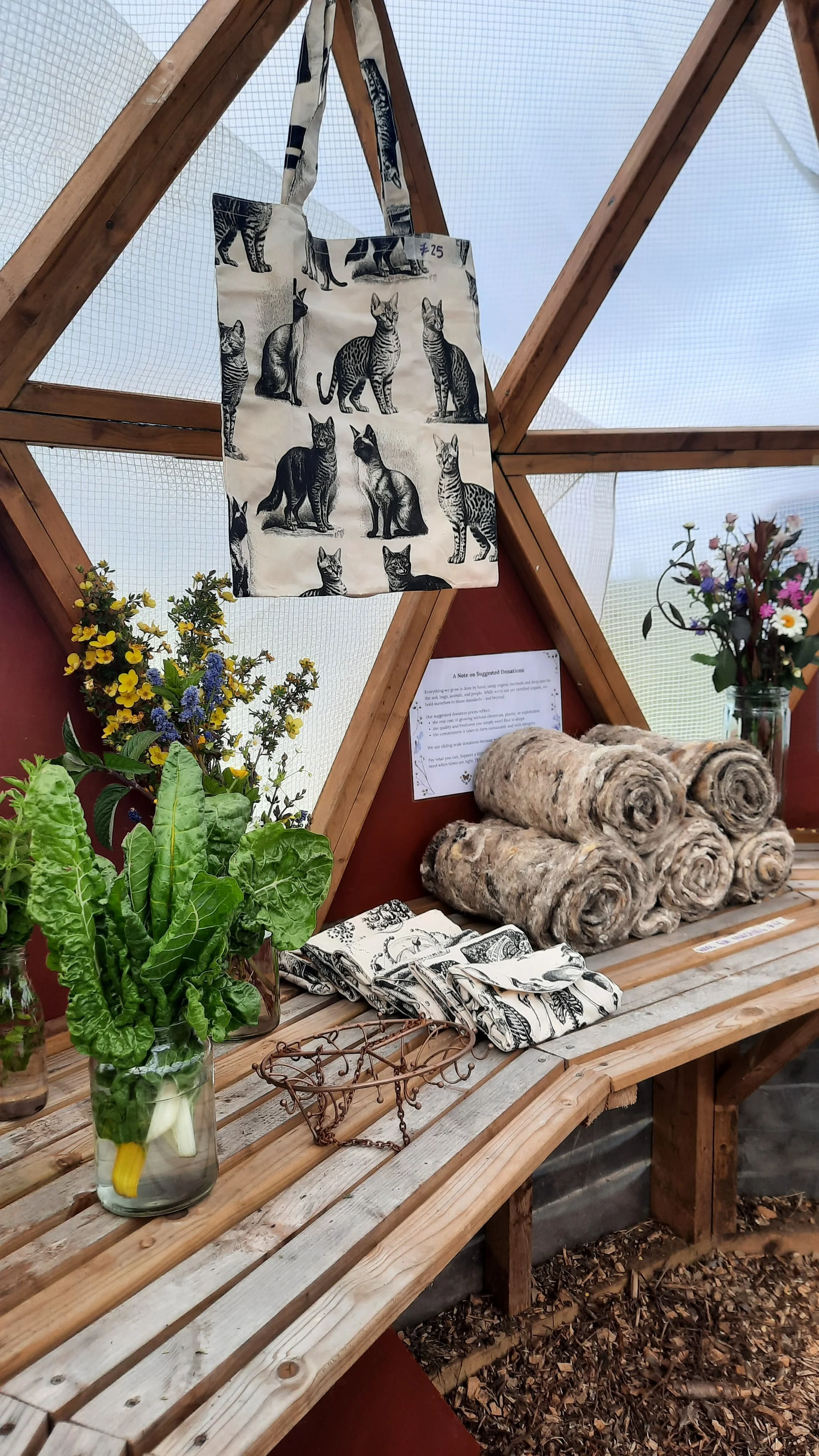 WhatsApp Image 2025-06-11 at 07.43.04 (3).jpeg