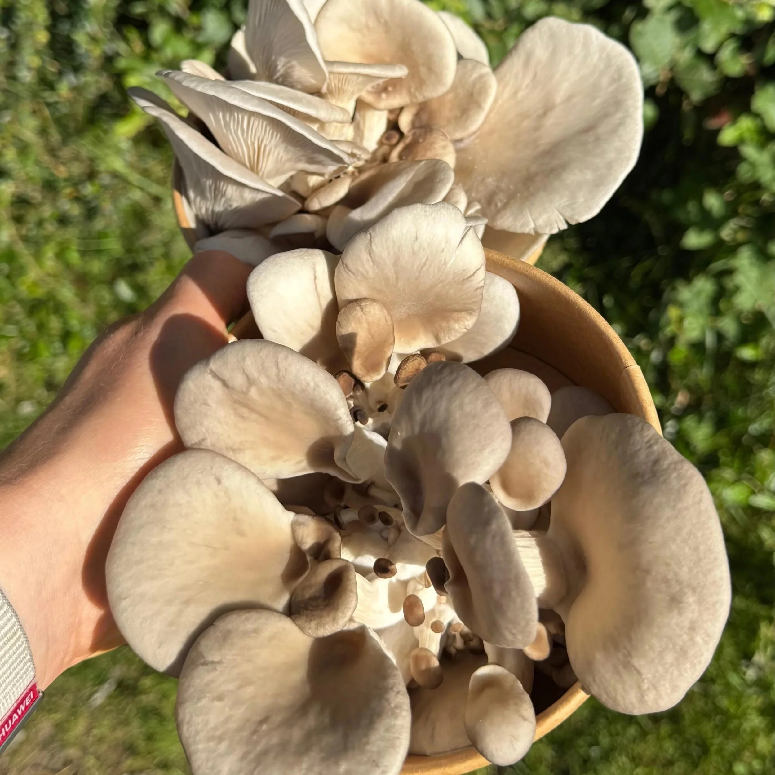 WhatsApp+Image+2025-07-11+at+09.10.56+%281%29.jpg (Copy)