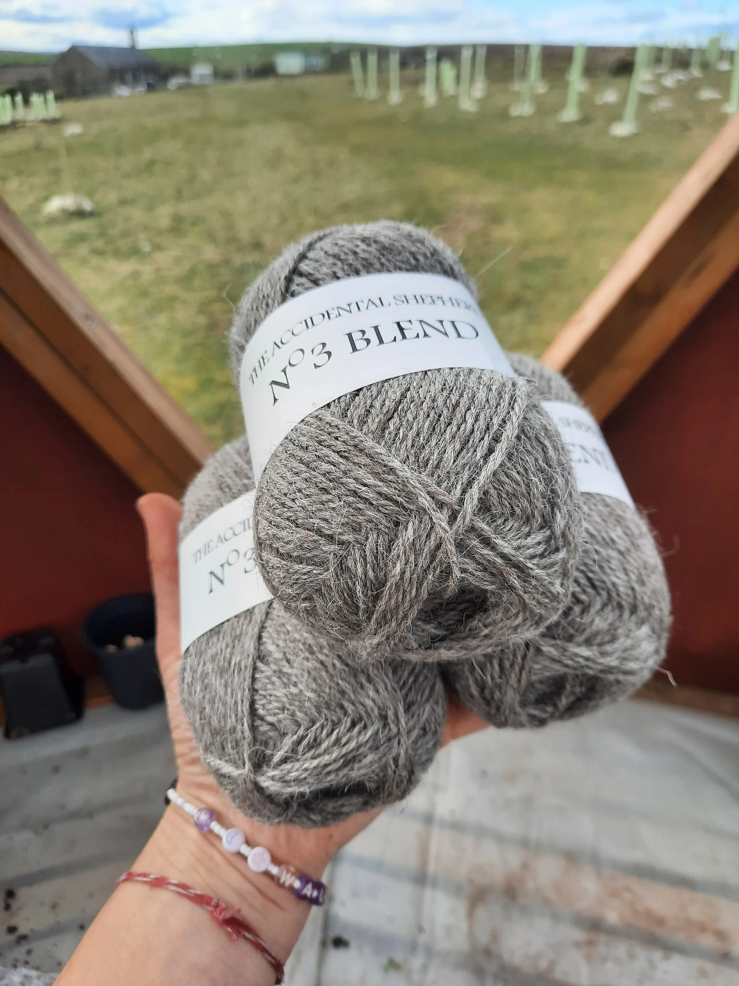 WhatsApp Image 2026-03-24 at 17.16.39.jpeg