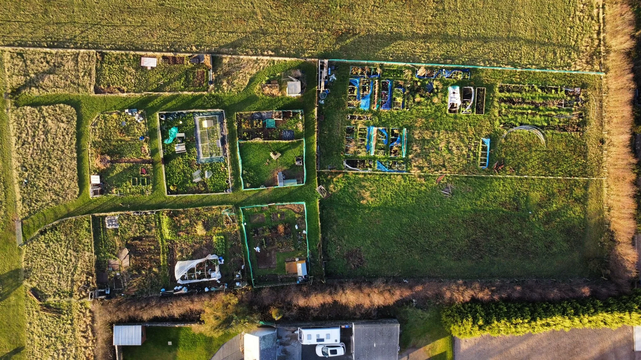 Aerial view of a large community garden divided into multiple smaller garden plots, some with greenhouses, gardening tools, and plants. There are also areas with grass and a few structures, surrounded by fencing and bordered by fields and trees.