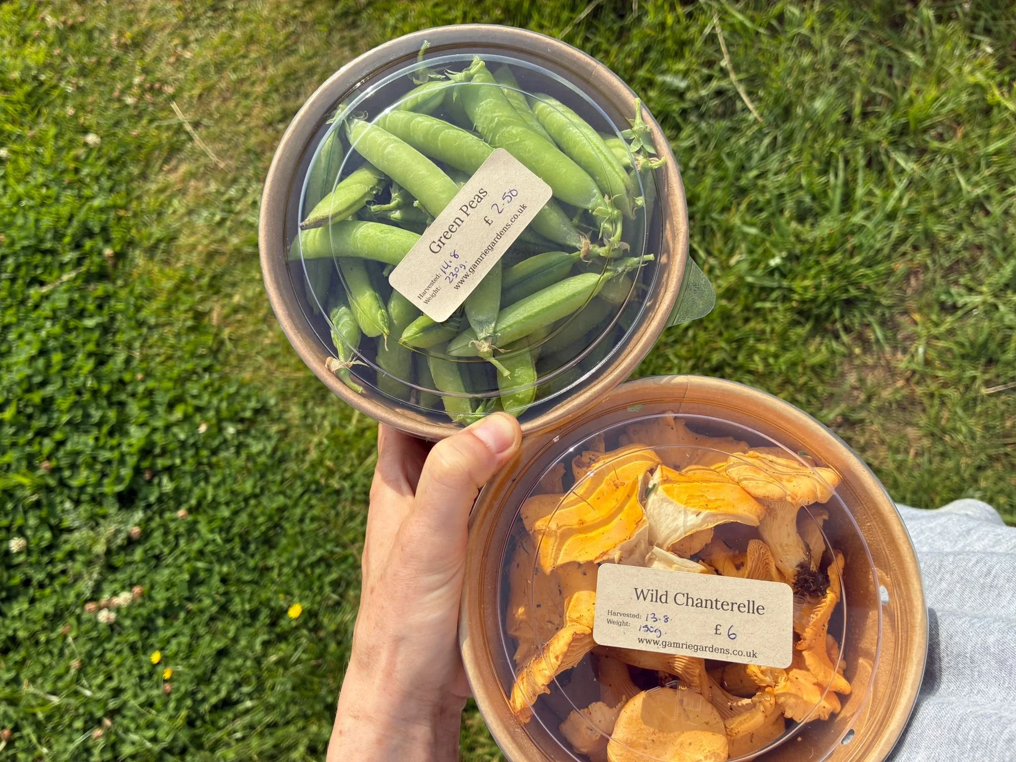 WhatsApp Image 2025-12-14 at 20.06.56.jpeg (Copy)