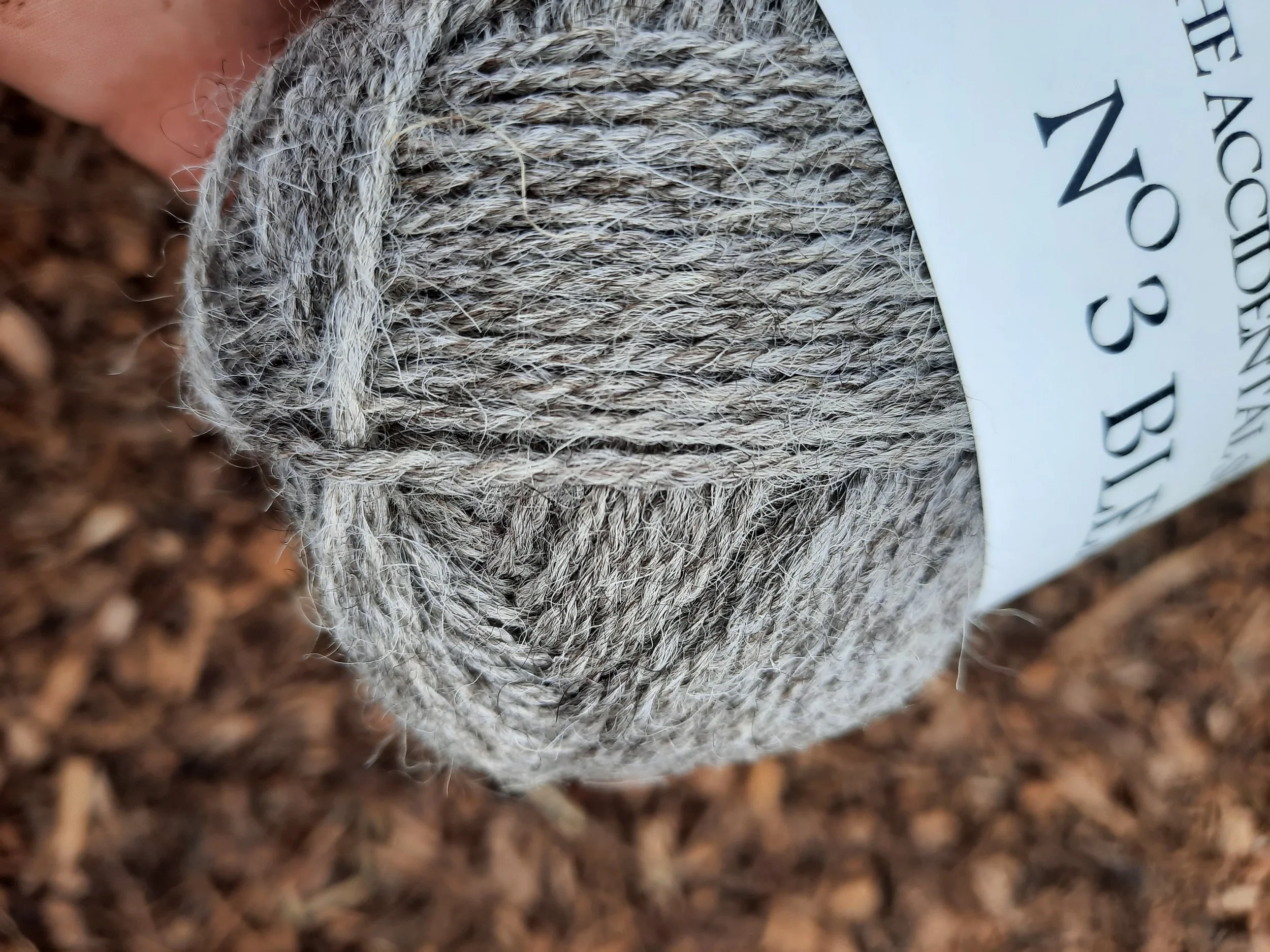 WhatsApp Image 2026-03-24 at 17.16.40.jpeg