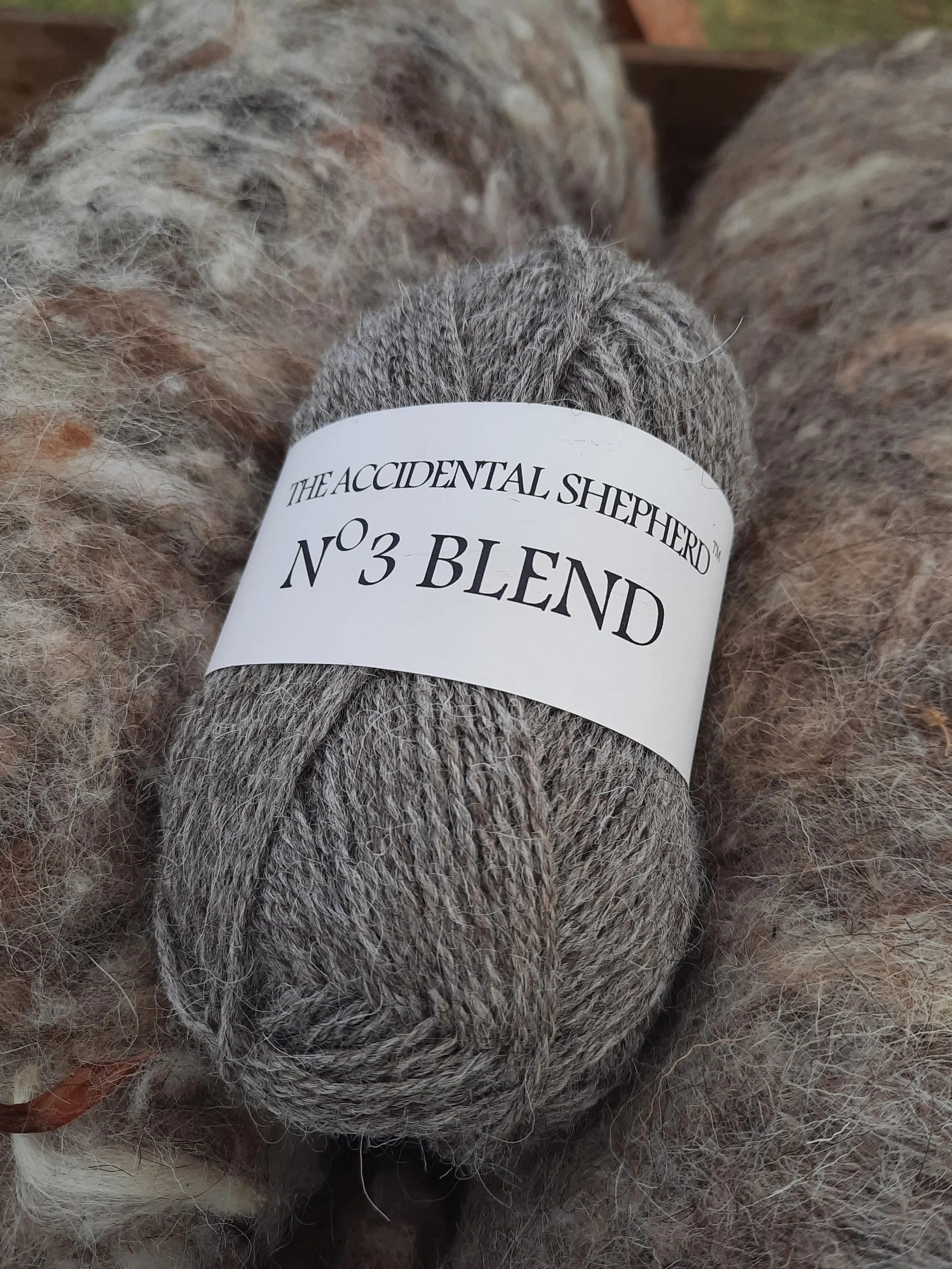 WhatsApp Image 2026-03-24 at 17.16.38.jpeg