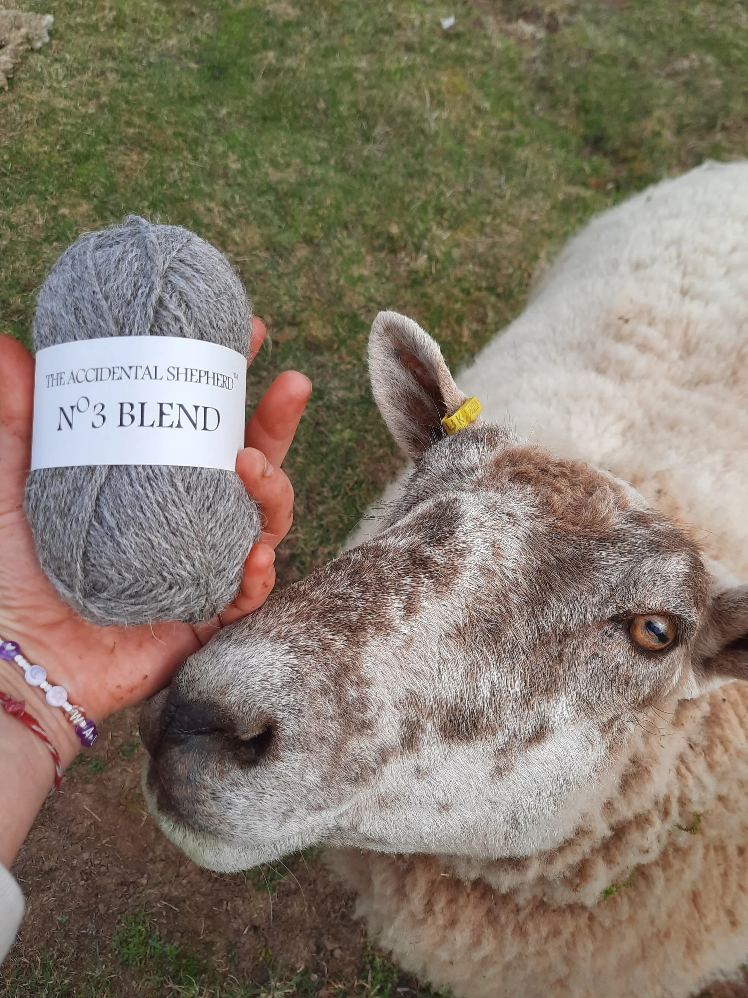 WhatsApp Image 2026-03-24 at 17.16.40 (3).jpeg