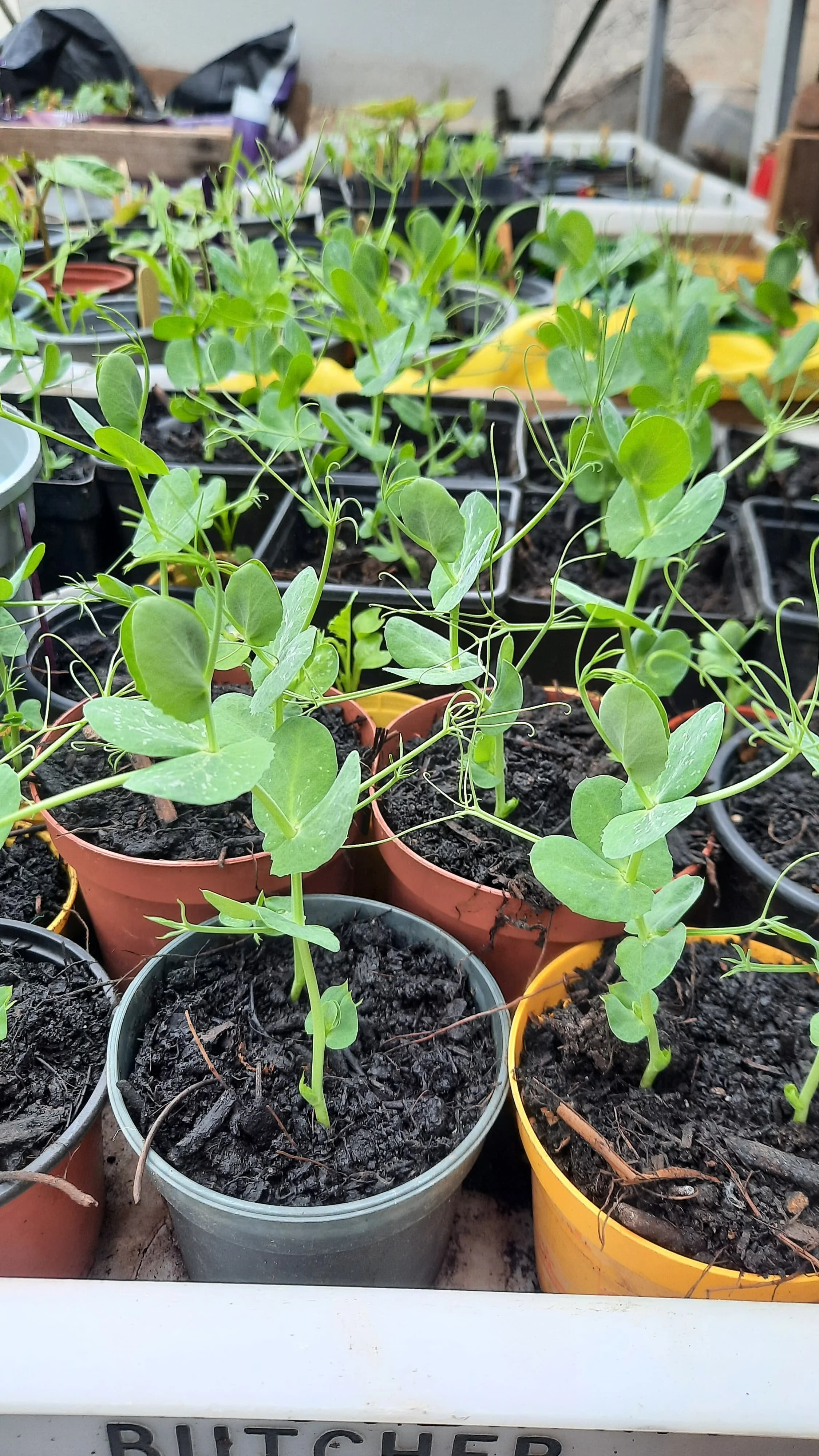 WhatsApp Image 2025-06-11 at 07.43.05 (4).jpeg