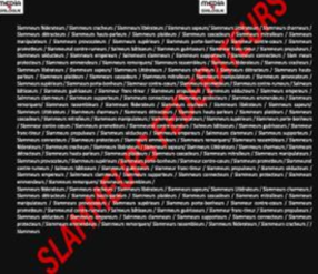 SLAMMEURS FEDERATEURS