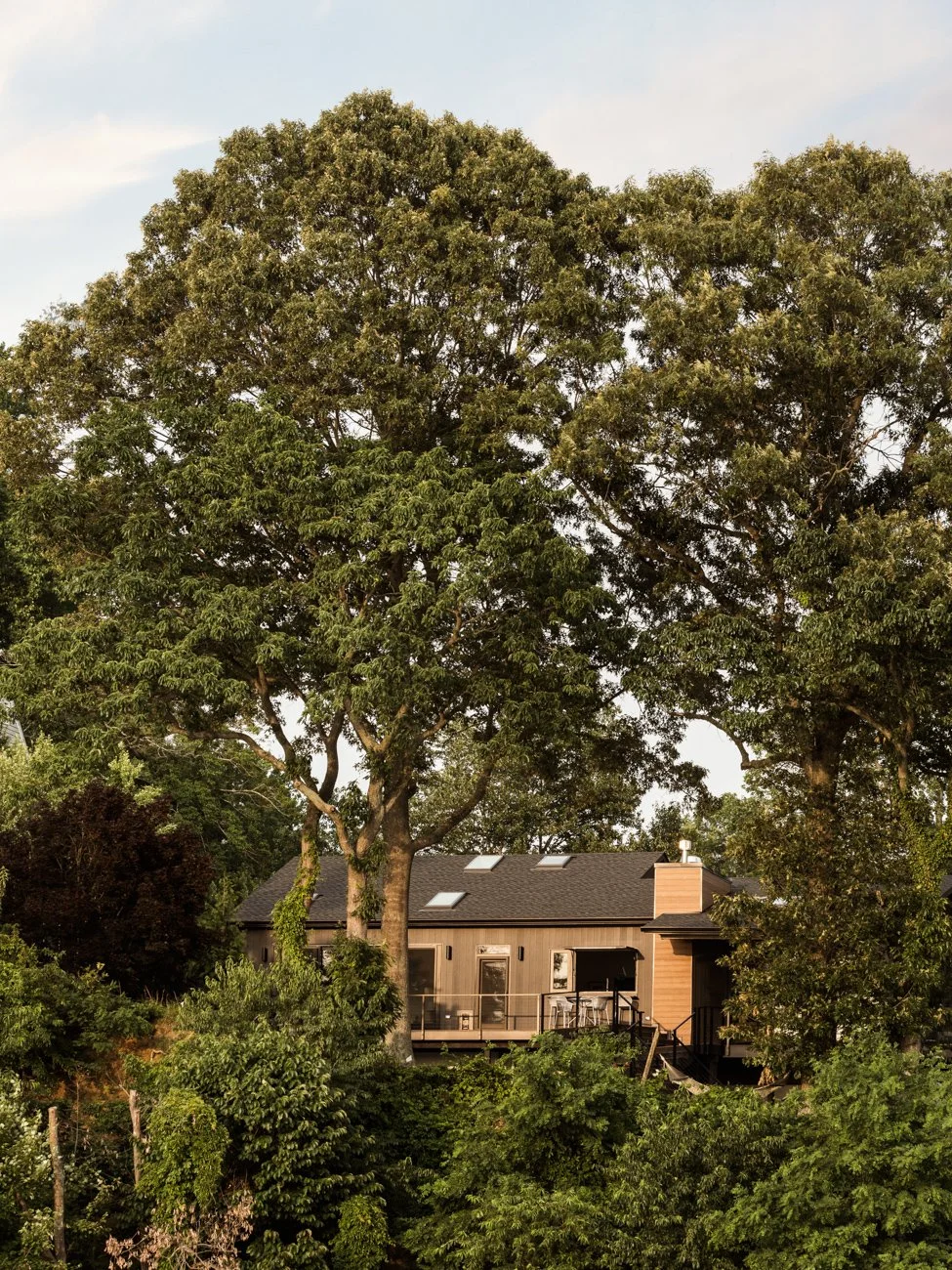 A house surrounded by large trees and lush greenery, with a deck and outdoor furniture visible.