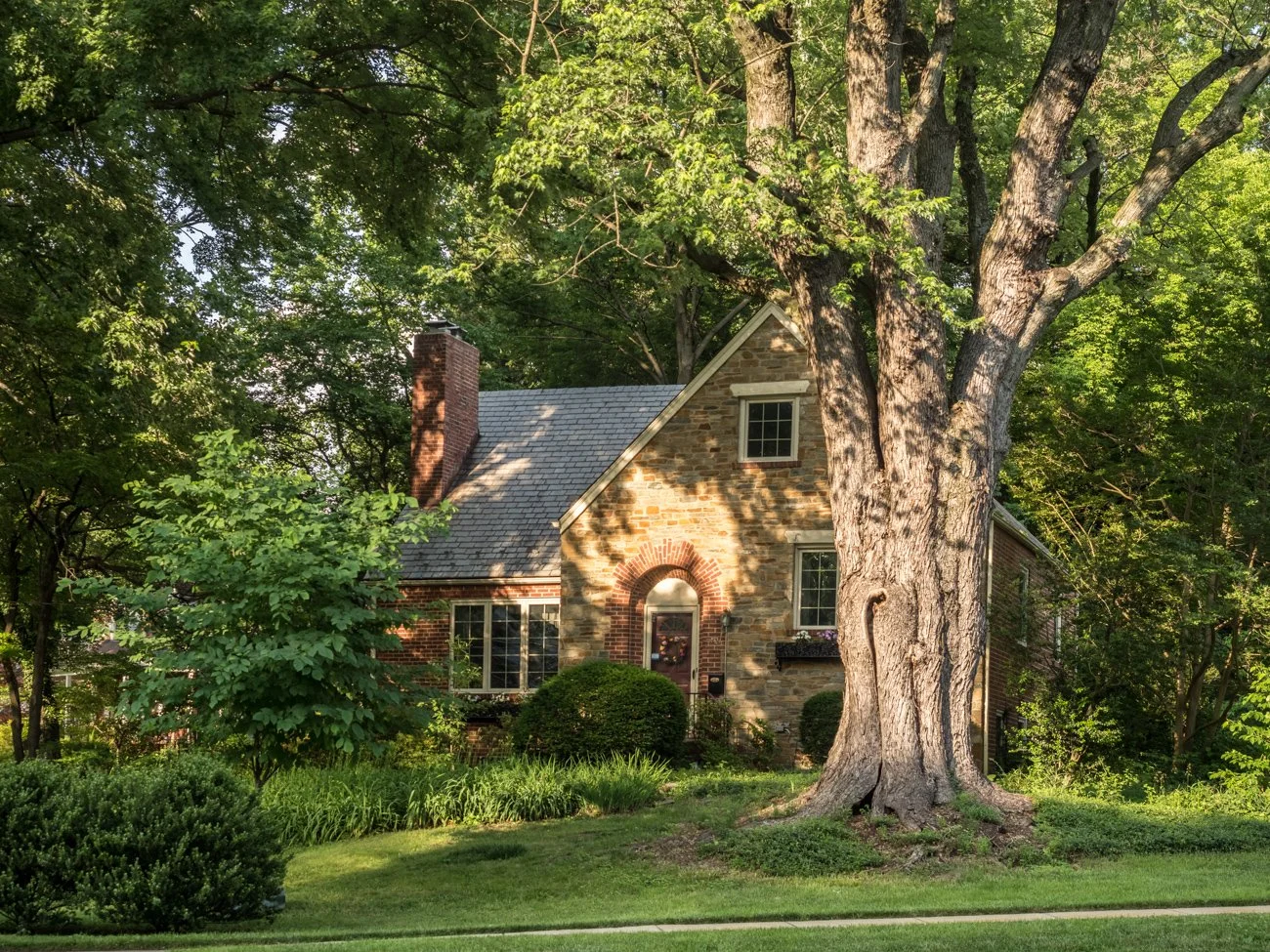 A brick house with a steep roof and a chimney, partially obscured by a large tree with a thick trunk and sprawling branches, surrounded by greenery and shrubs.