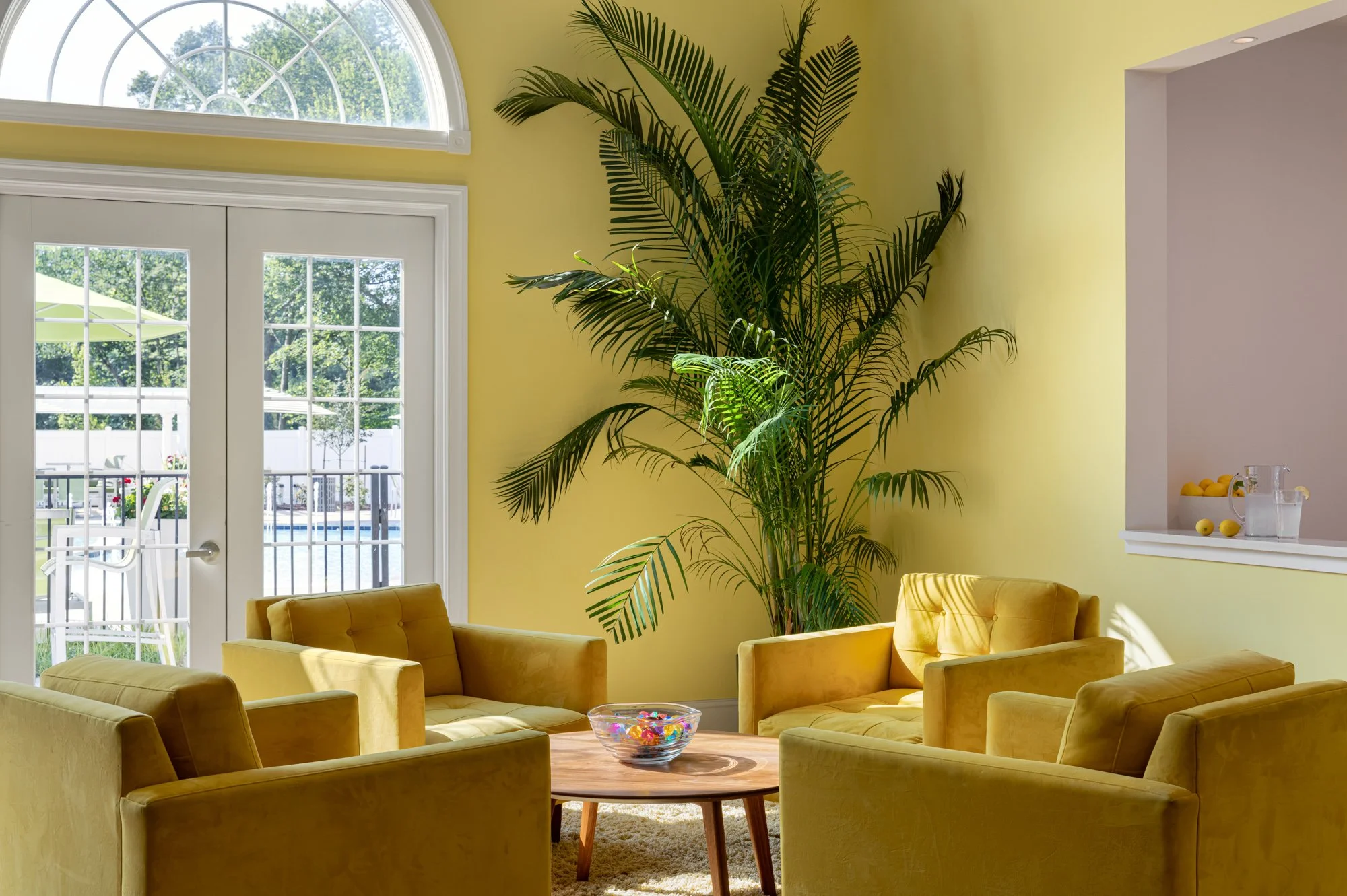Living room with yellow walls, four yellow armchairs arranged around a wooden coffee table with a glass bowl of colorful candies, large potted palm tree near the wall, sliding glass door leading outside to a patio with a pool, and sunlight streaming 