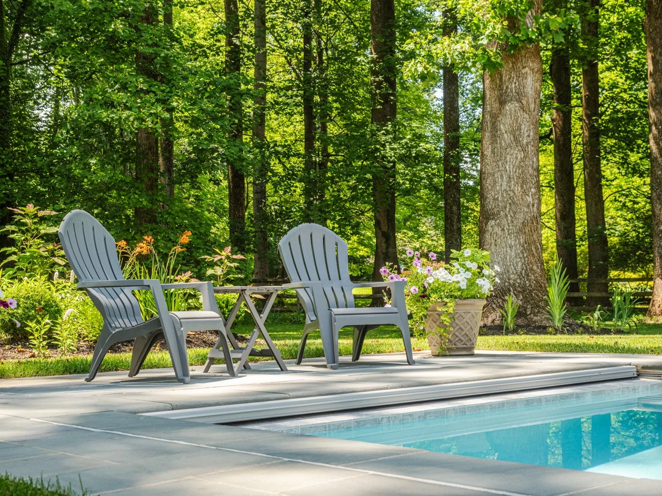 Two gray plastic Adirondack chairs with a small table between them, next to a swimming pool with a lush green forest in the background, and a large potted plant with white and purple flowers.