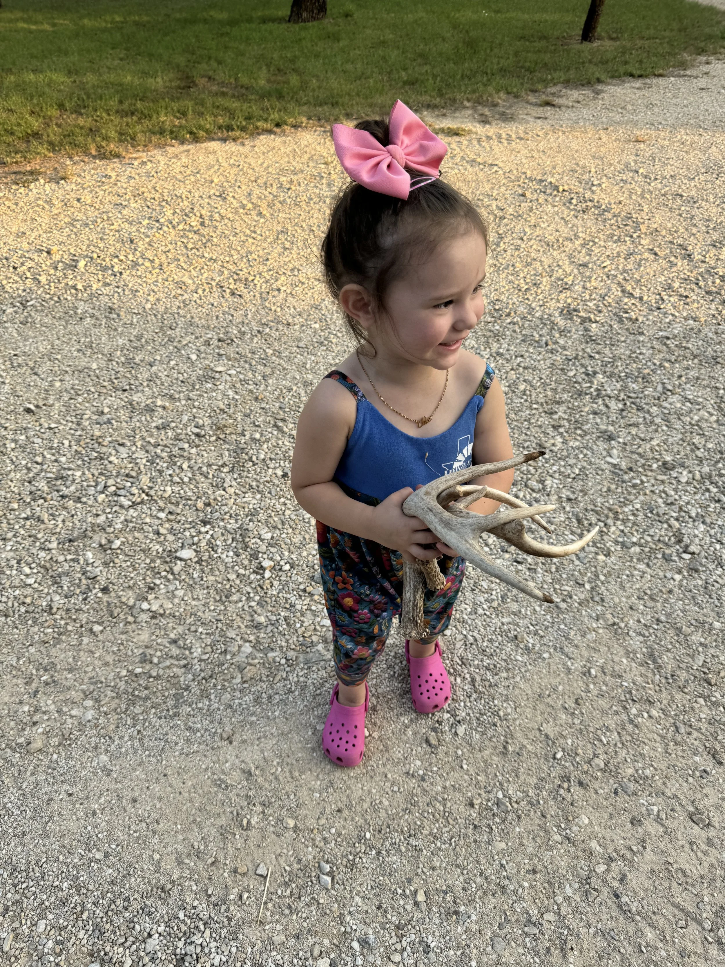 IMG_2862.jpeg