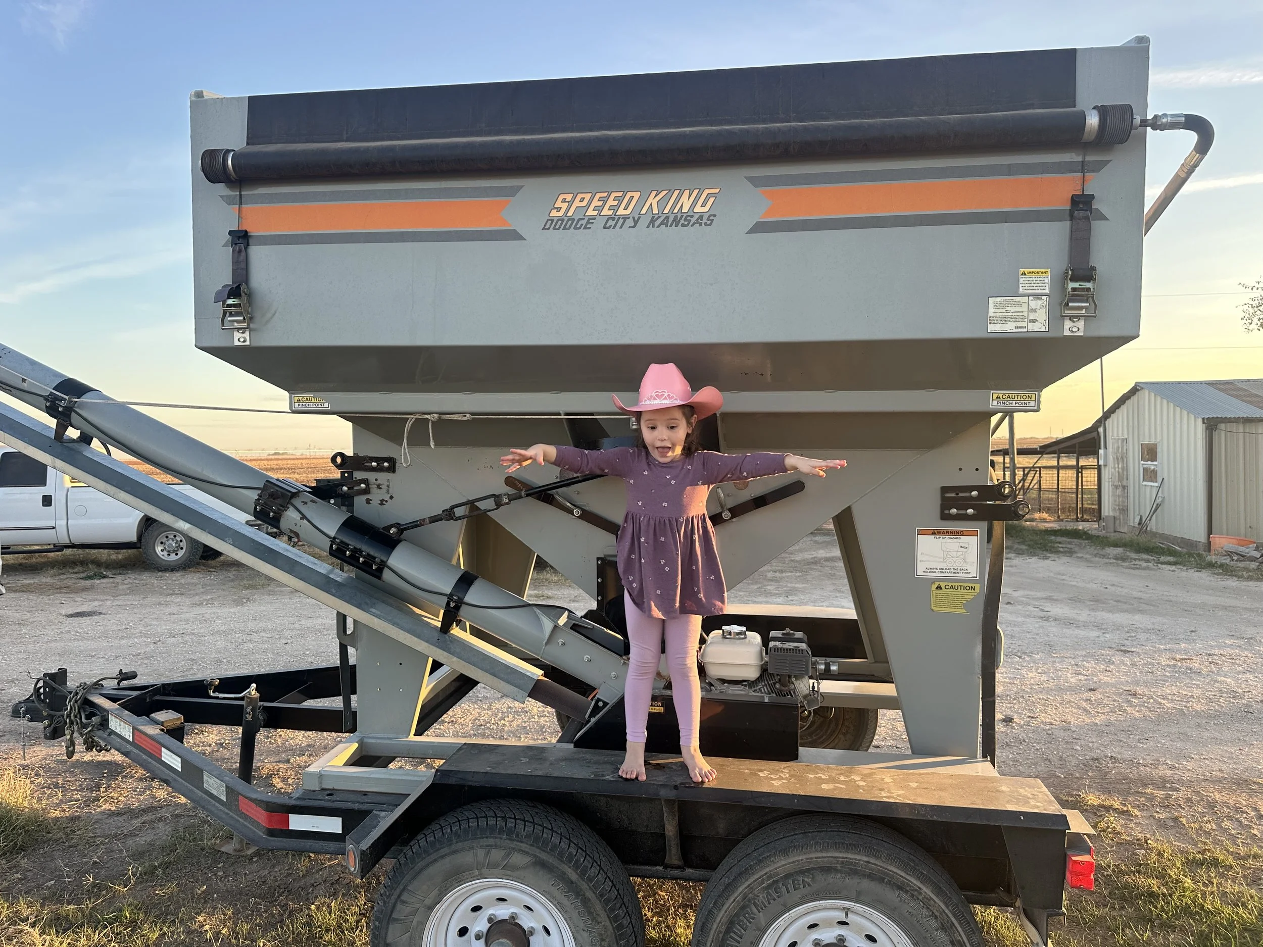 Dairy farm planted and BIG RAIN
