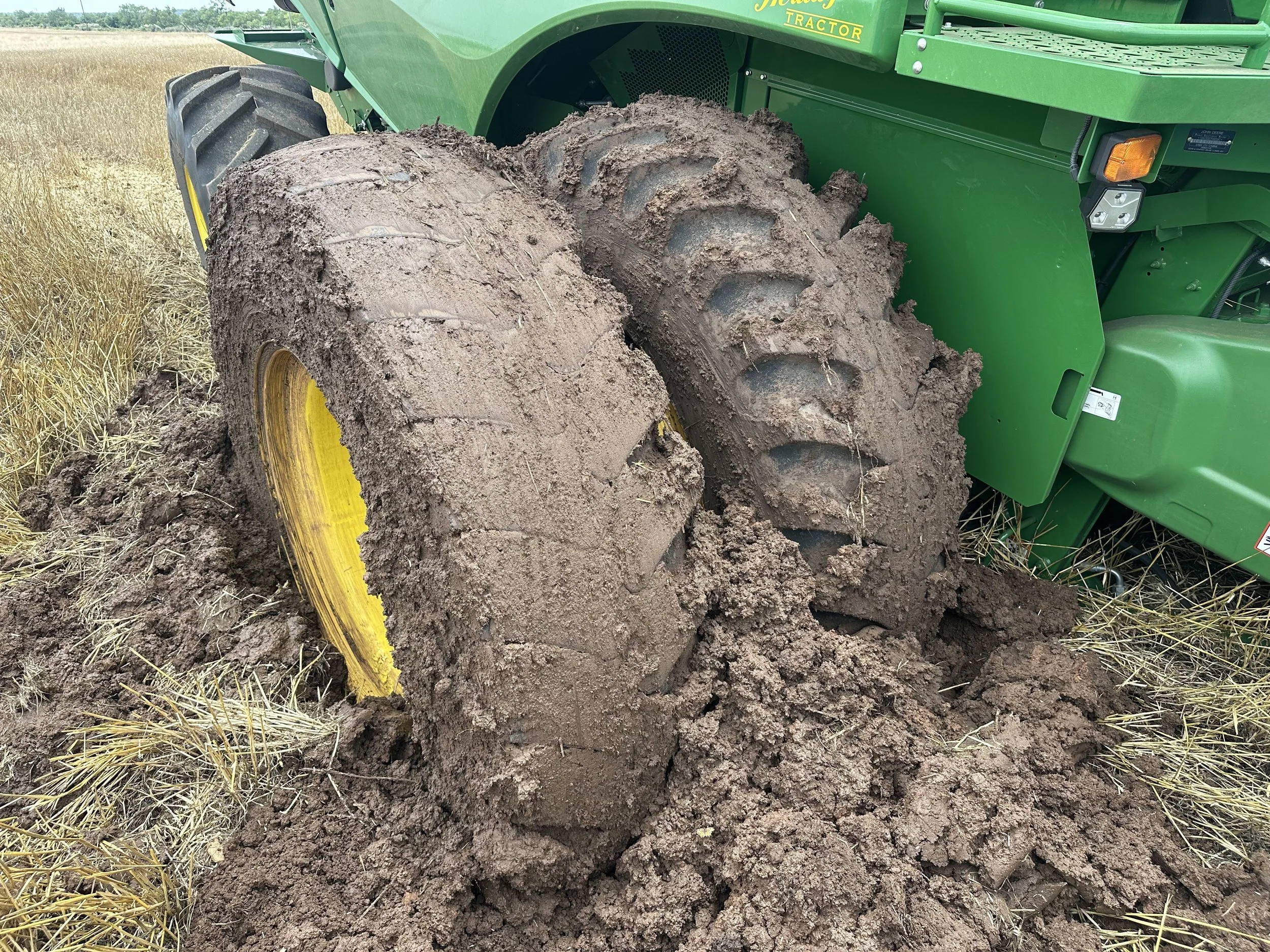 Sprouted wheat, stuck combine