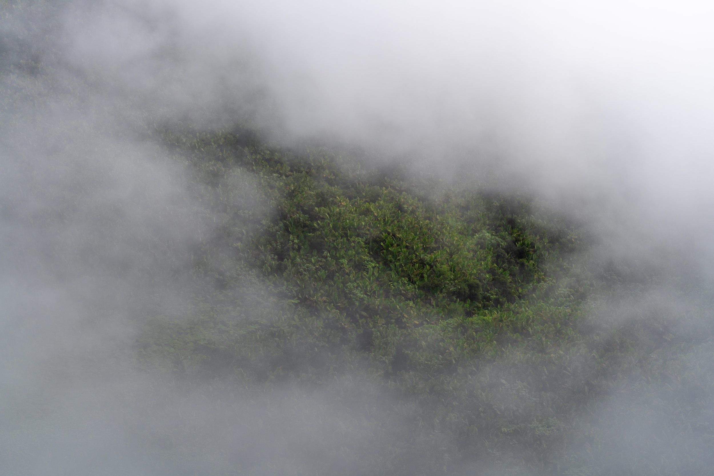 El Yunque rainforest mist and clouds photography
