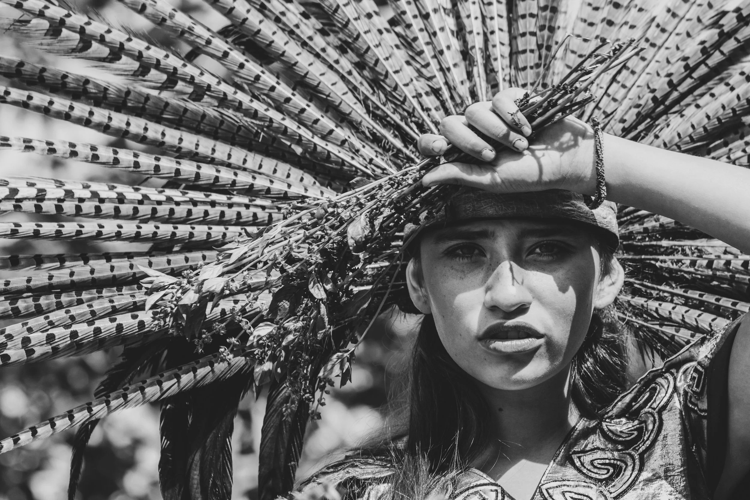 Day of the Dead-1.jpg