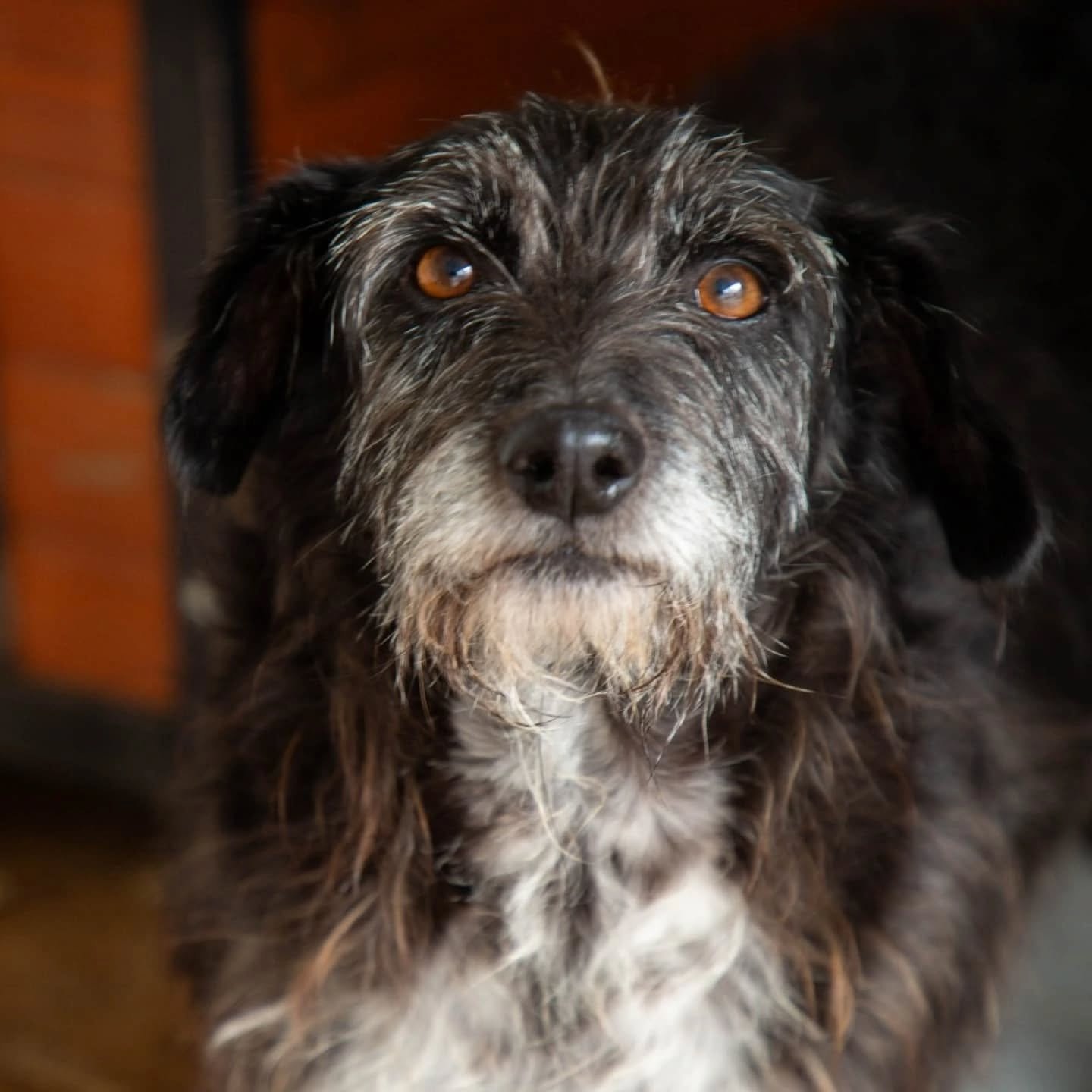 Ragnar