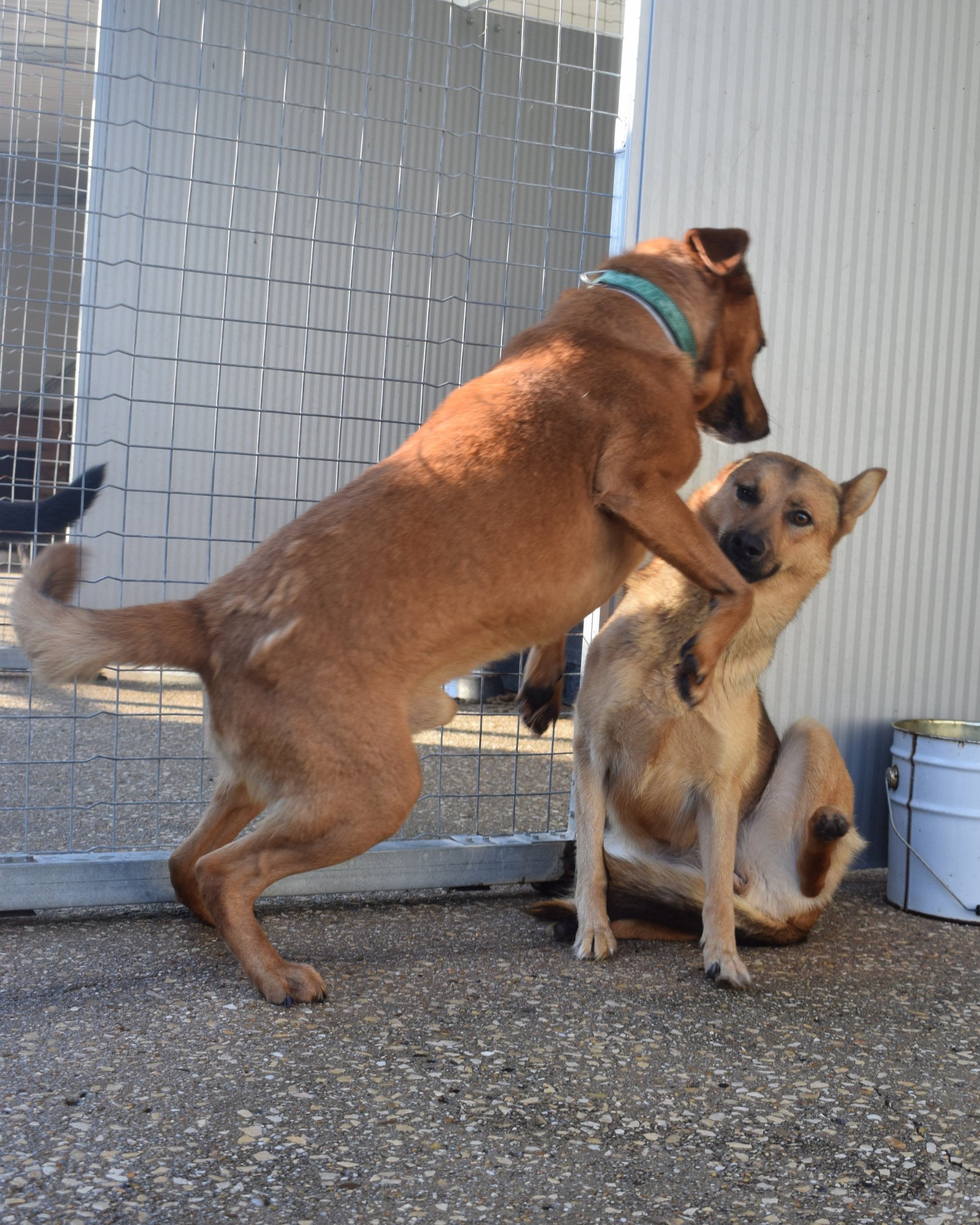 Rio+Lobita3.jpg