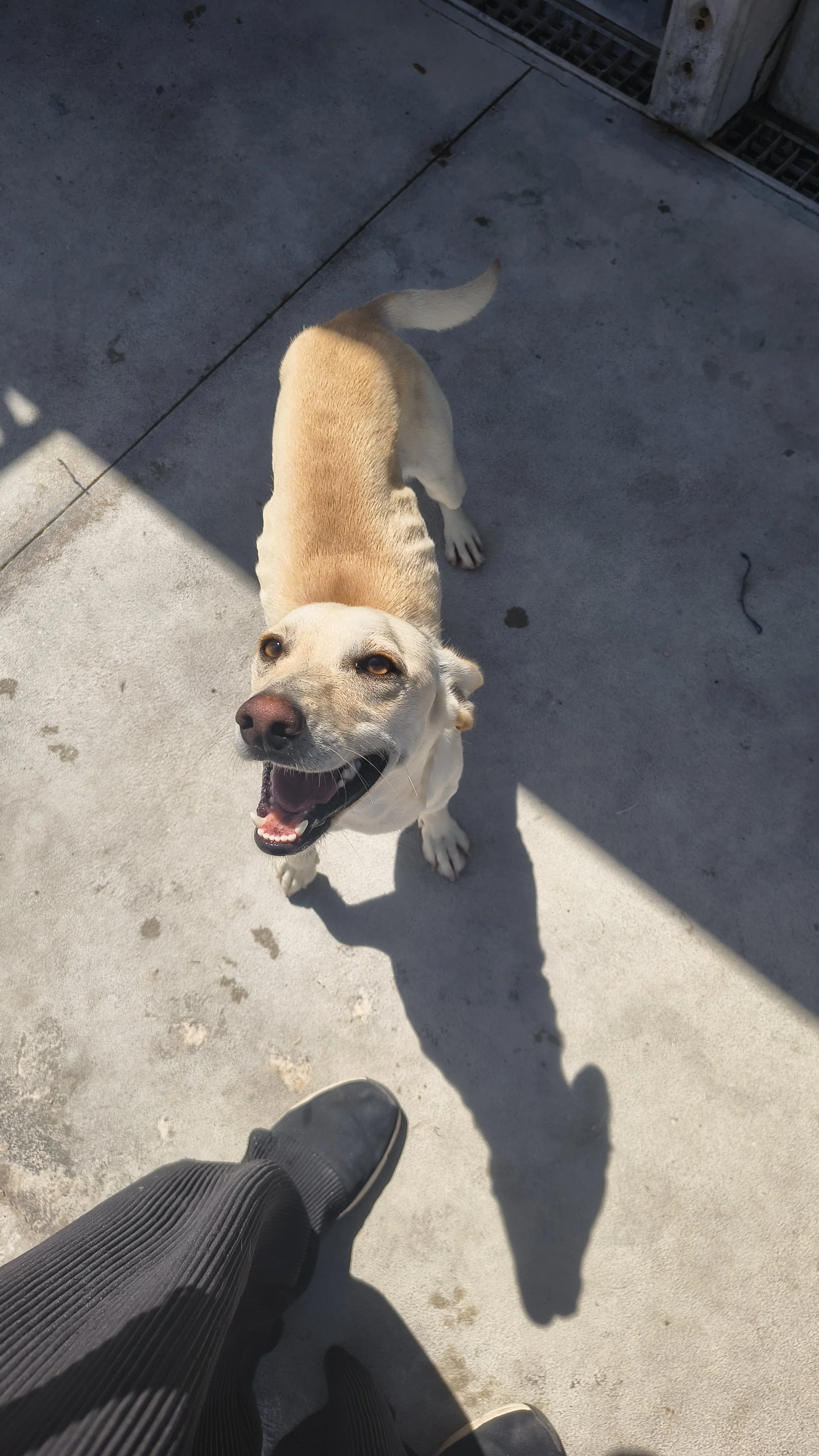 Benji5.jpg