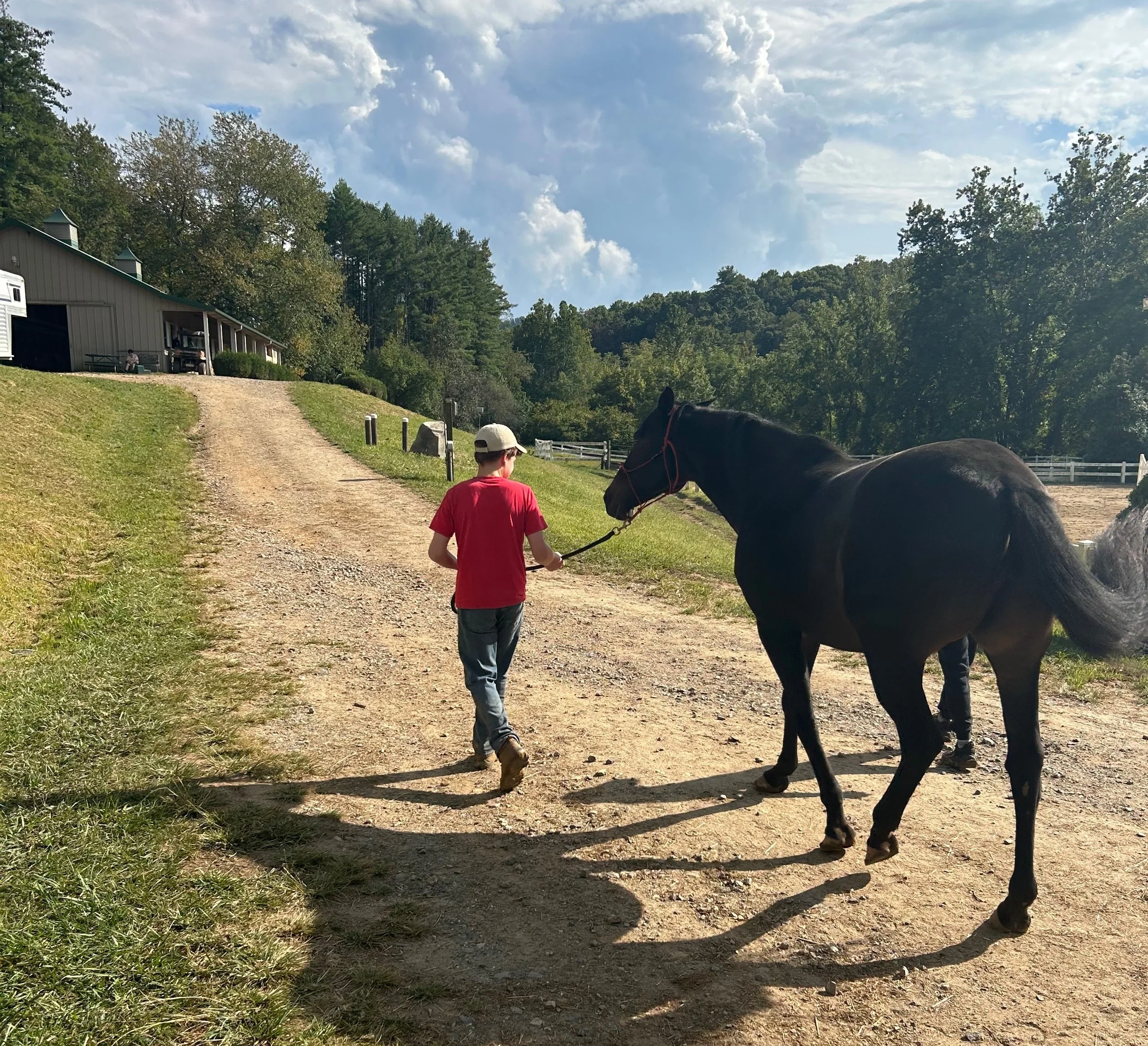 Healing Hearts          Equine Camp 