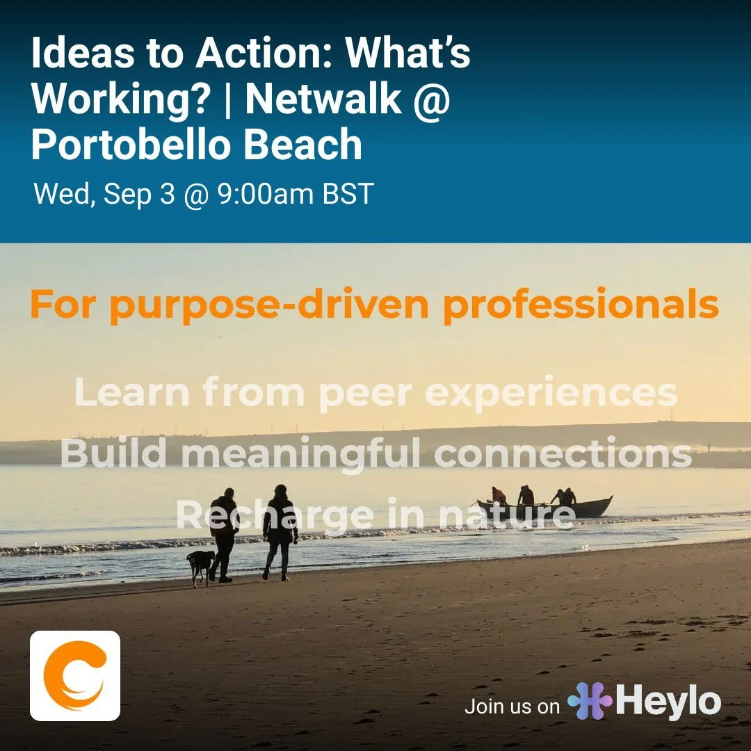 Ideas to Action: What’s Working? -Netwalk