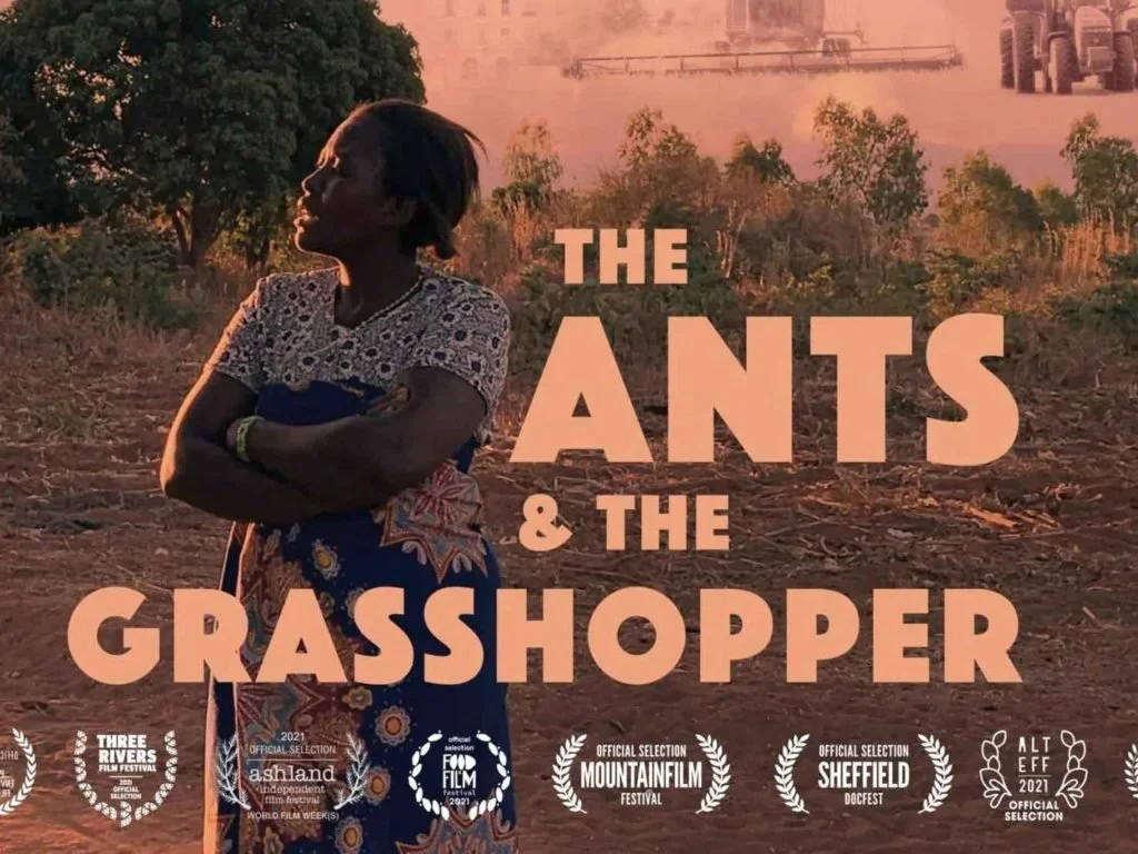 Community Cinema: The Ants and the Grasshopper