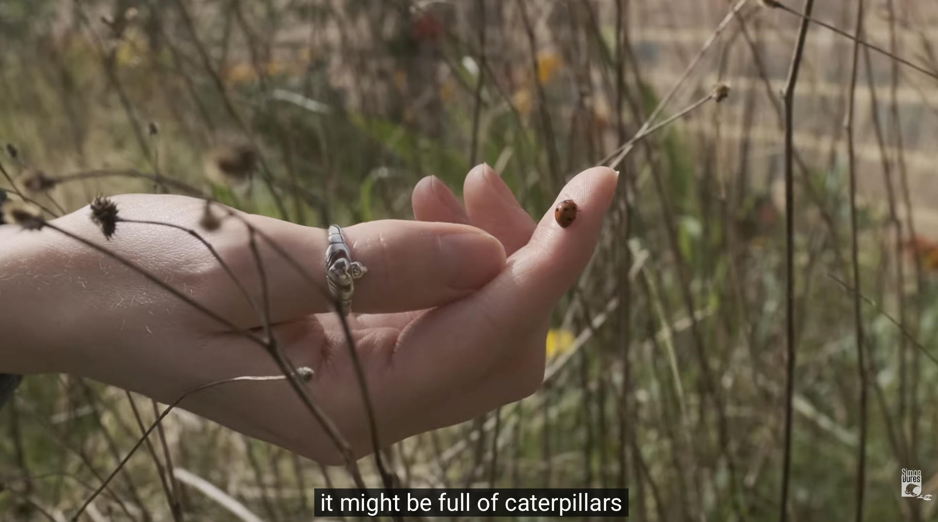 Screenshot 2026-04-27 at 18.26.09.png