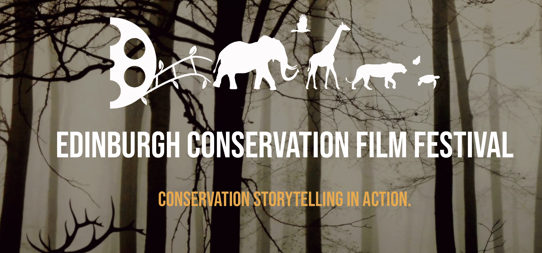 Call For Filmmakers Edinburgh Conservation Film Festival 2027 ECCAN Call For Filmmakers Edinburgh Conservation Film Festival 2027 ECCAN