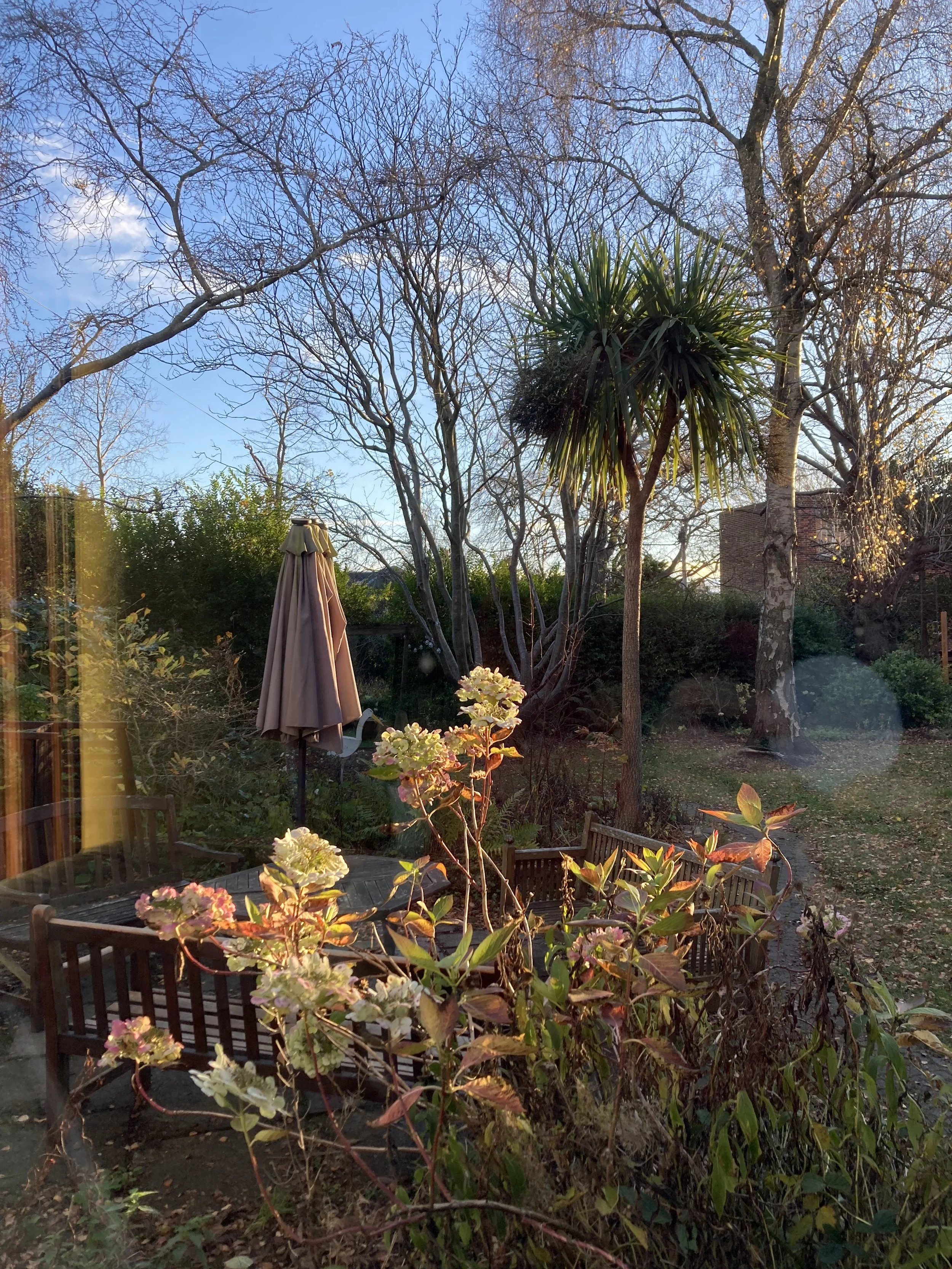 IMG_6542 2.jpeg