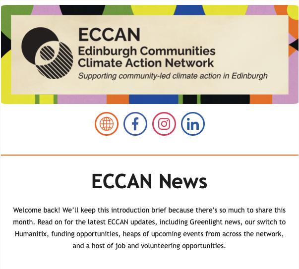 July at ECCAN: Greenlight Updates, Festival Highlights and Opportunities Across the Network