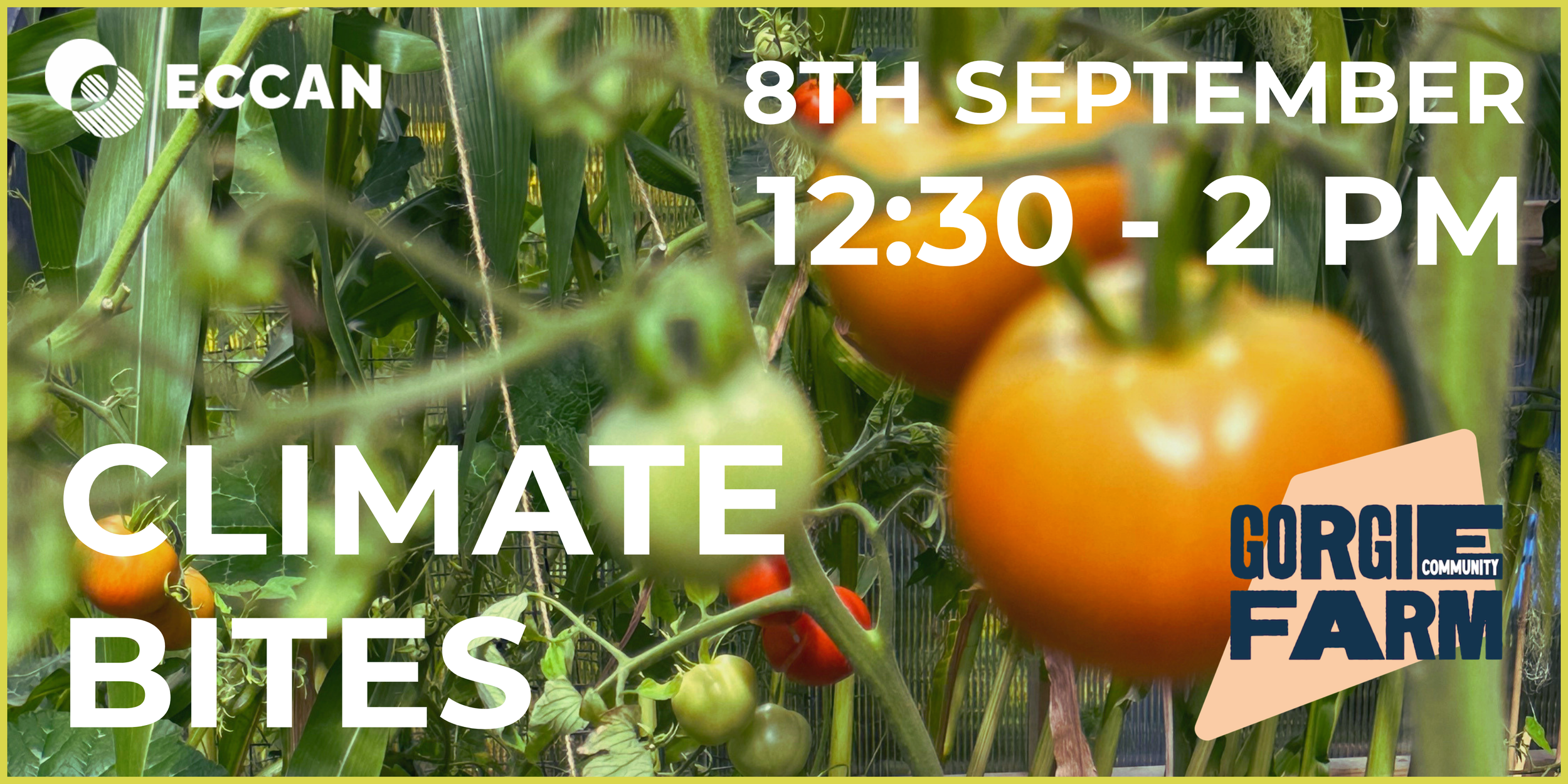 September Climate Bites at Gorgie Community Farm
