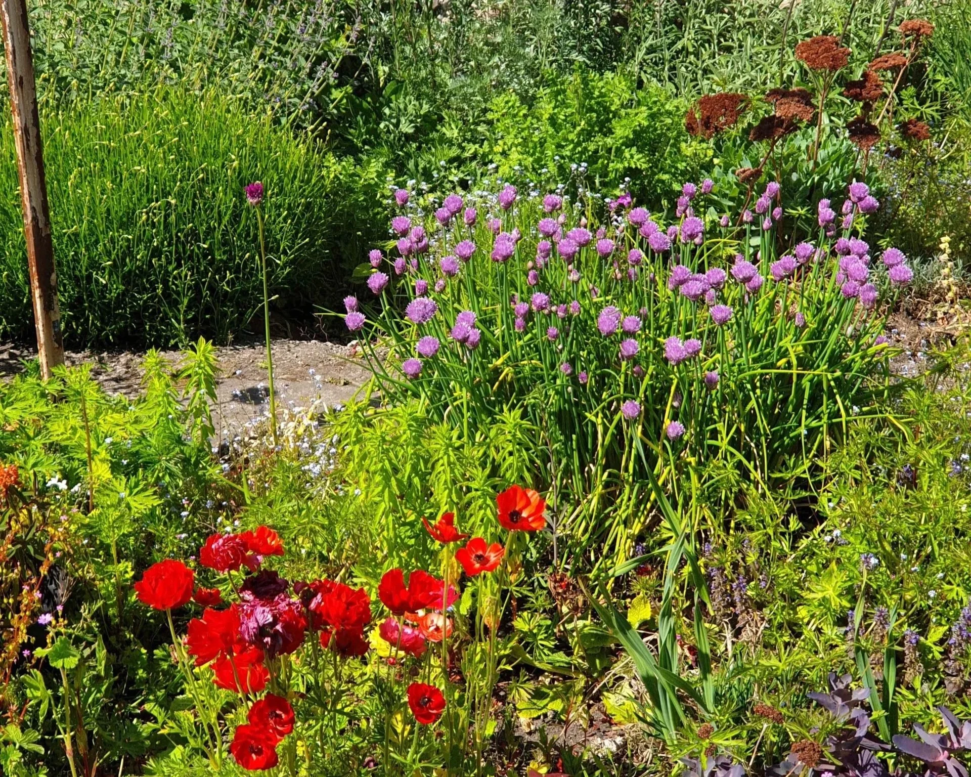 Seasonal Workshop at Granton Castle Walled Garden