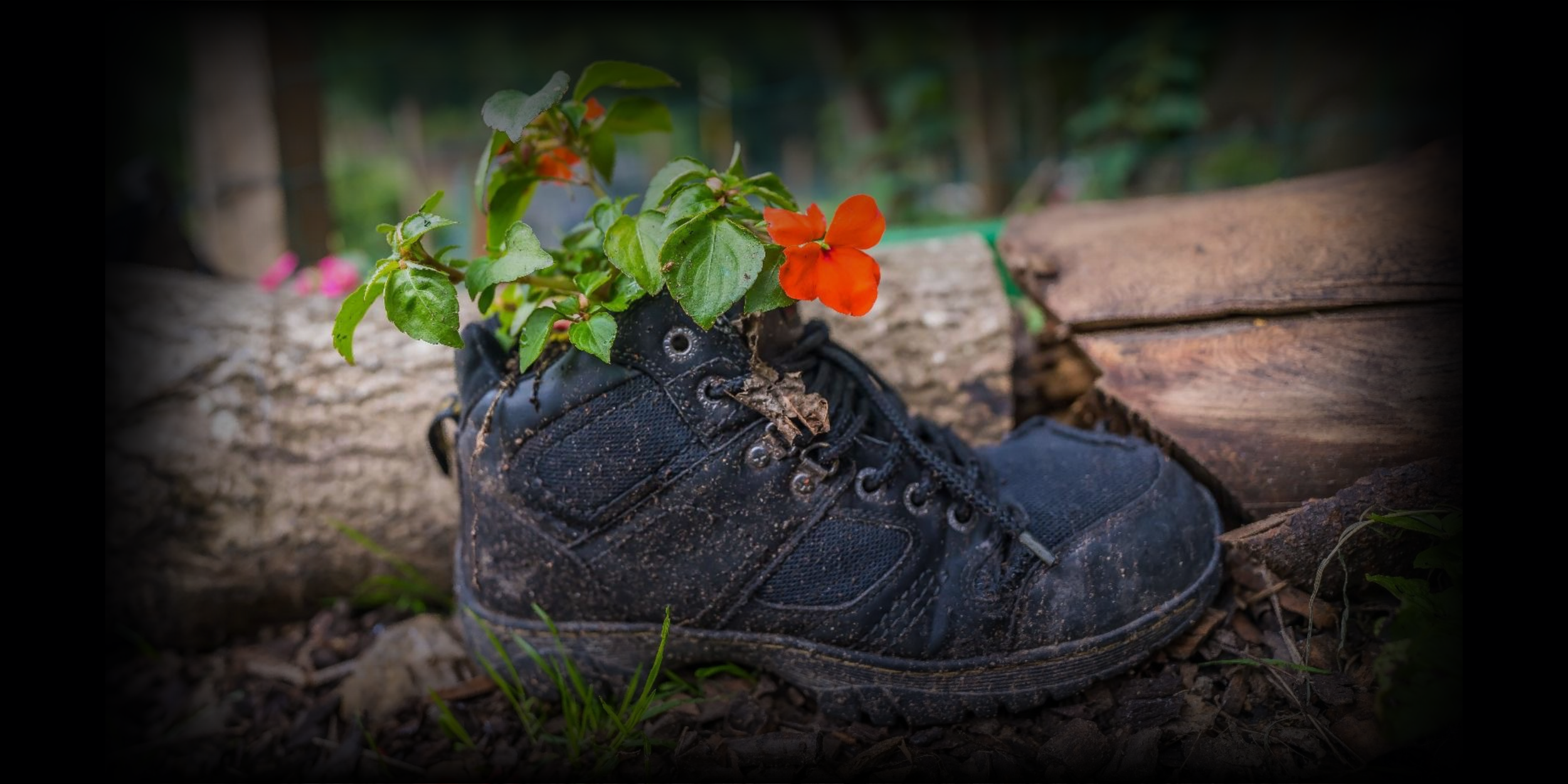 Barnton Community Garden