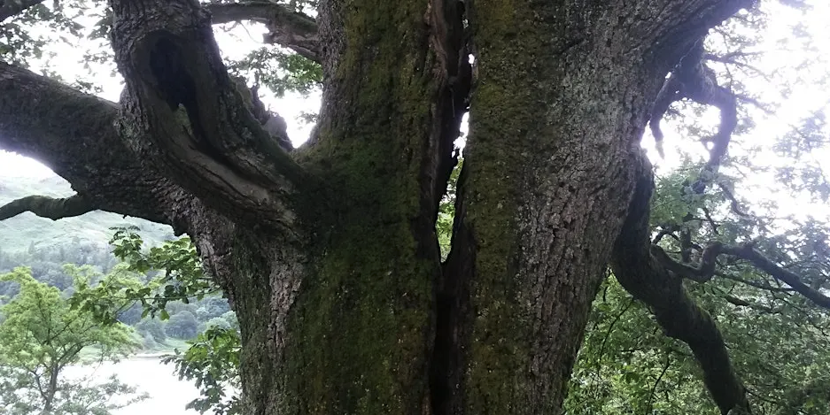 Breaking Well - A Monthly Space for Climate and Ecological Reflection