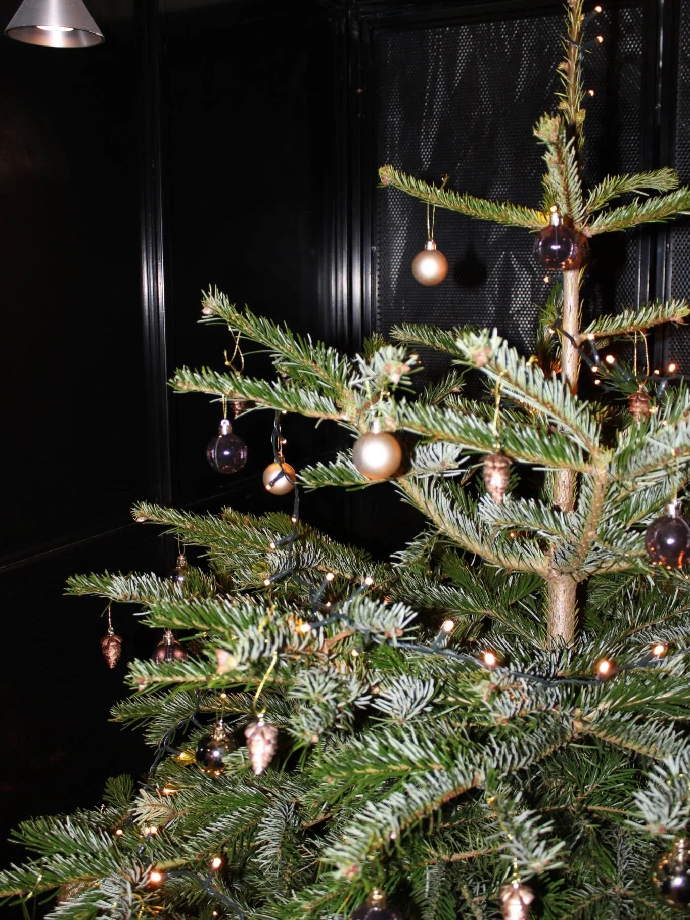 We&rsquo;ve finally joined in on the festiveness and decorated our Christmas tree 🎄 

There&rsquo;s still time to book in for Christmas drinks (and some charcuterie boards too if you fancy)! Get in contact or pop your head in if you&rsquo;re passing