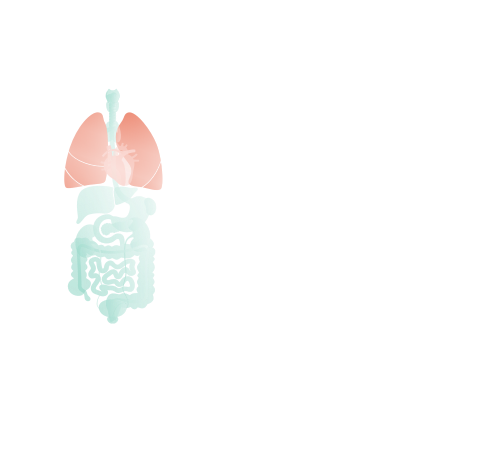 Diagram of the human body's internal organs including lungs, stomach, intestines, and other digestive organs.