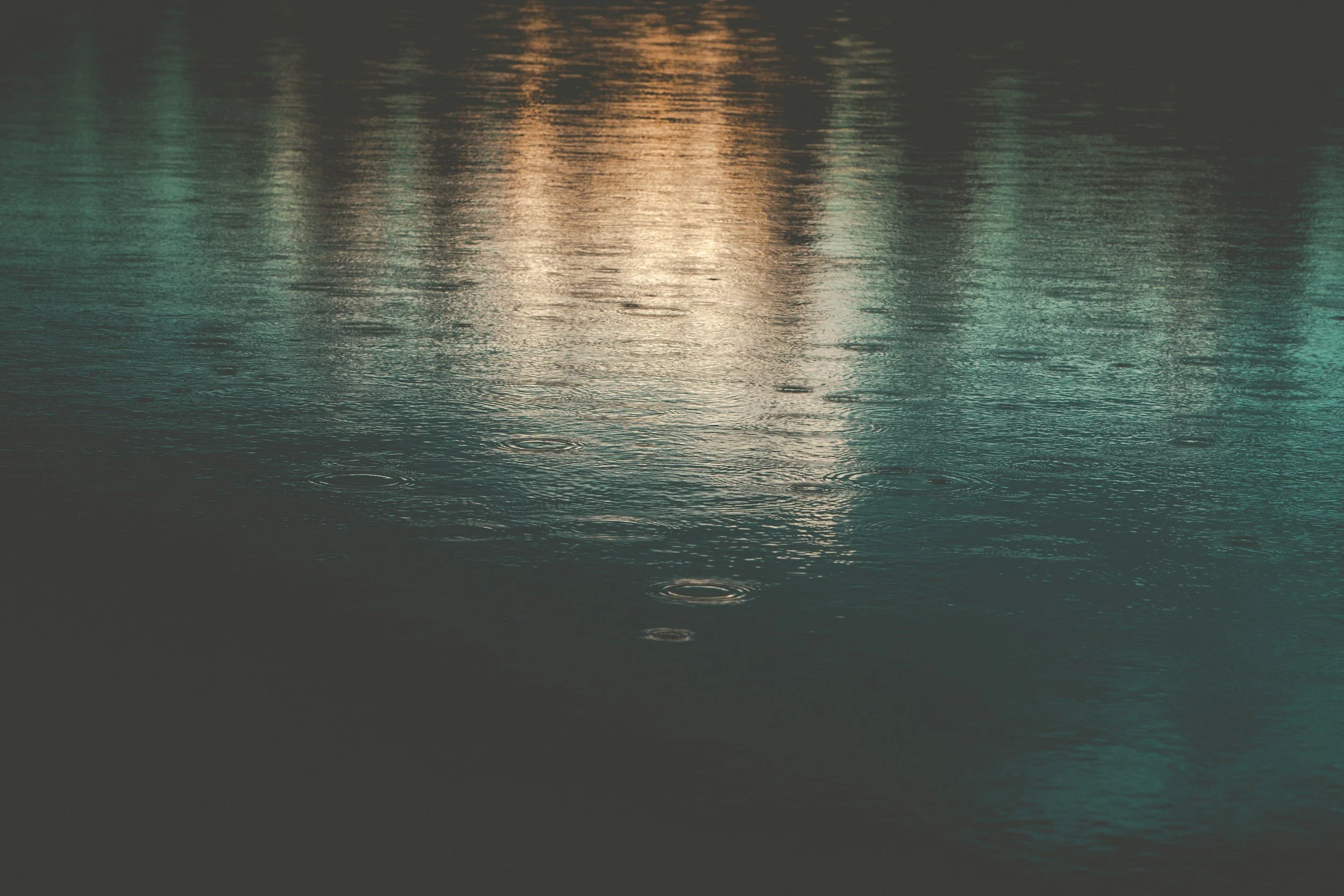 City lights reflecting on water at night, psychedelic integration therapy for women in Santa Rosa CA