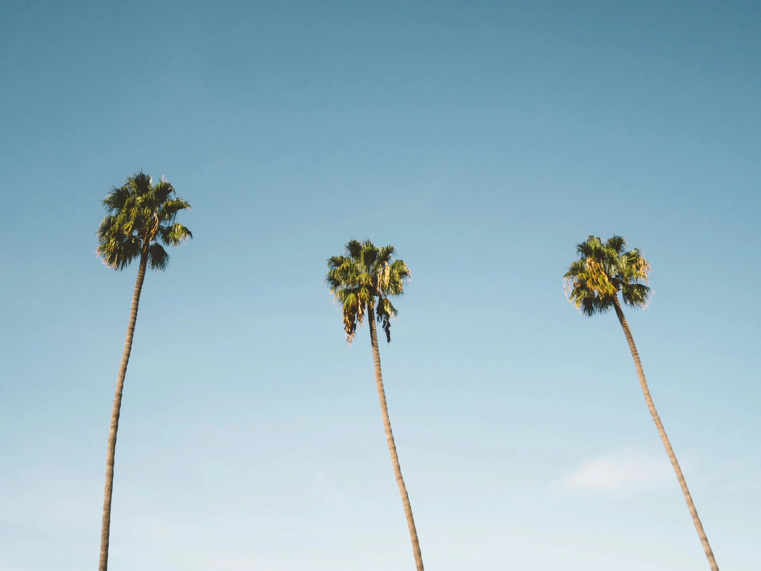 andrew-ridley-WcxOZSezy0k-unsplash.jpg