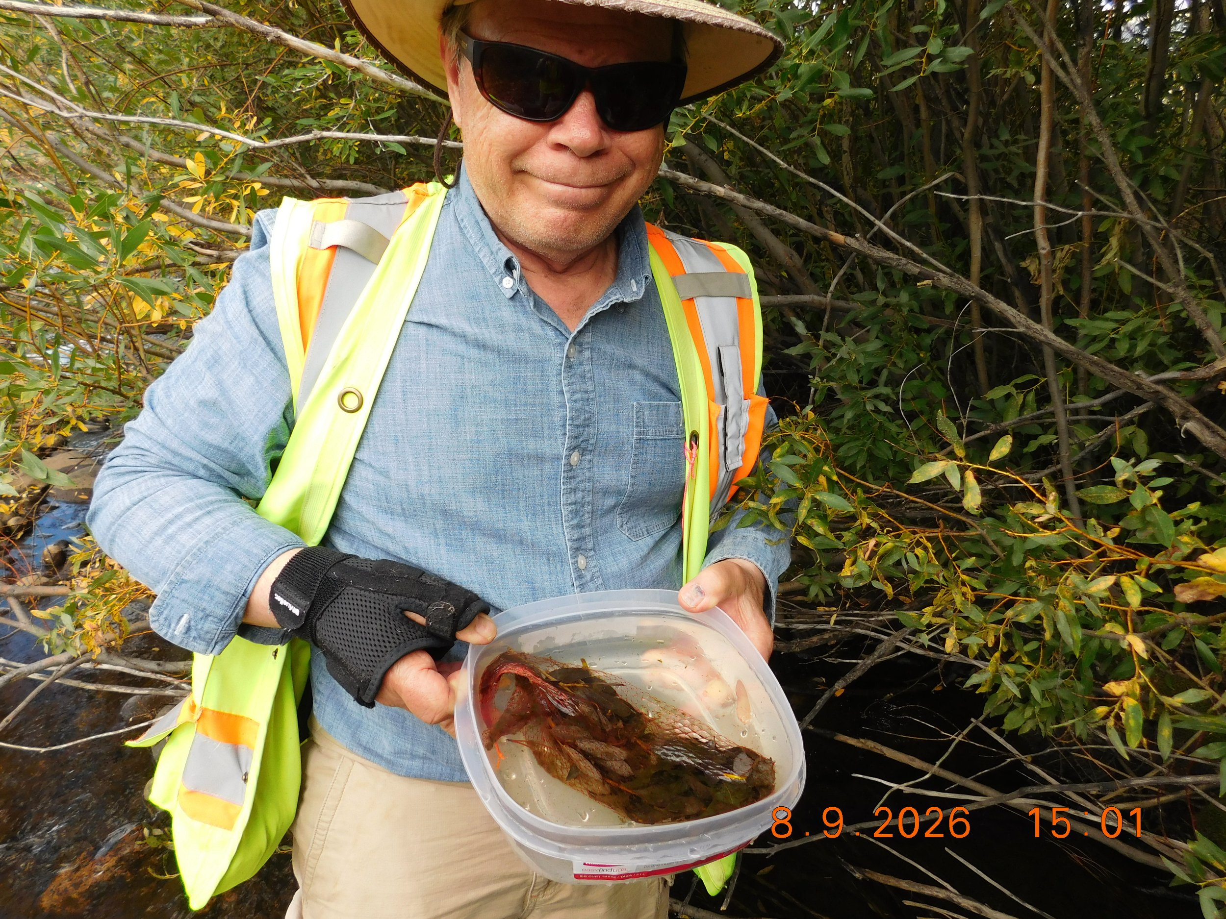 Saint Louis Creek Water Monitoring With Fraser Valley Elementary