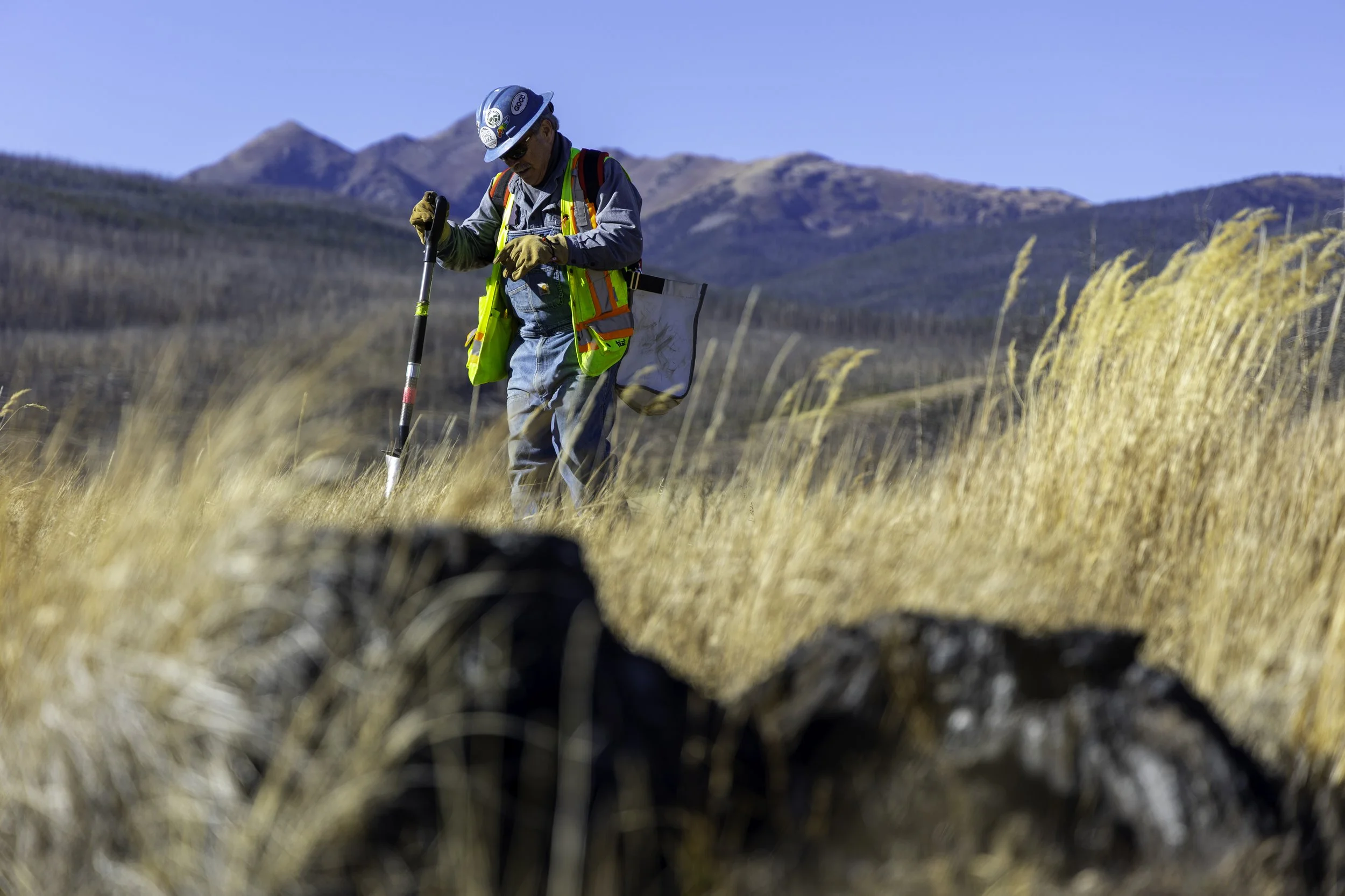 Rector Reforestation-12.jpg