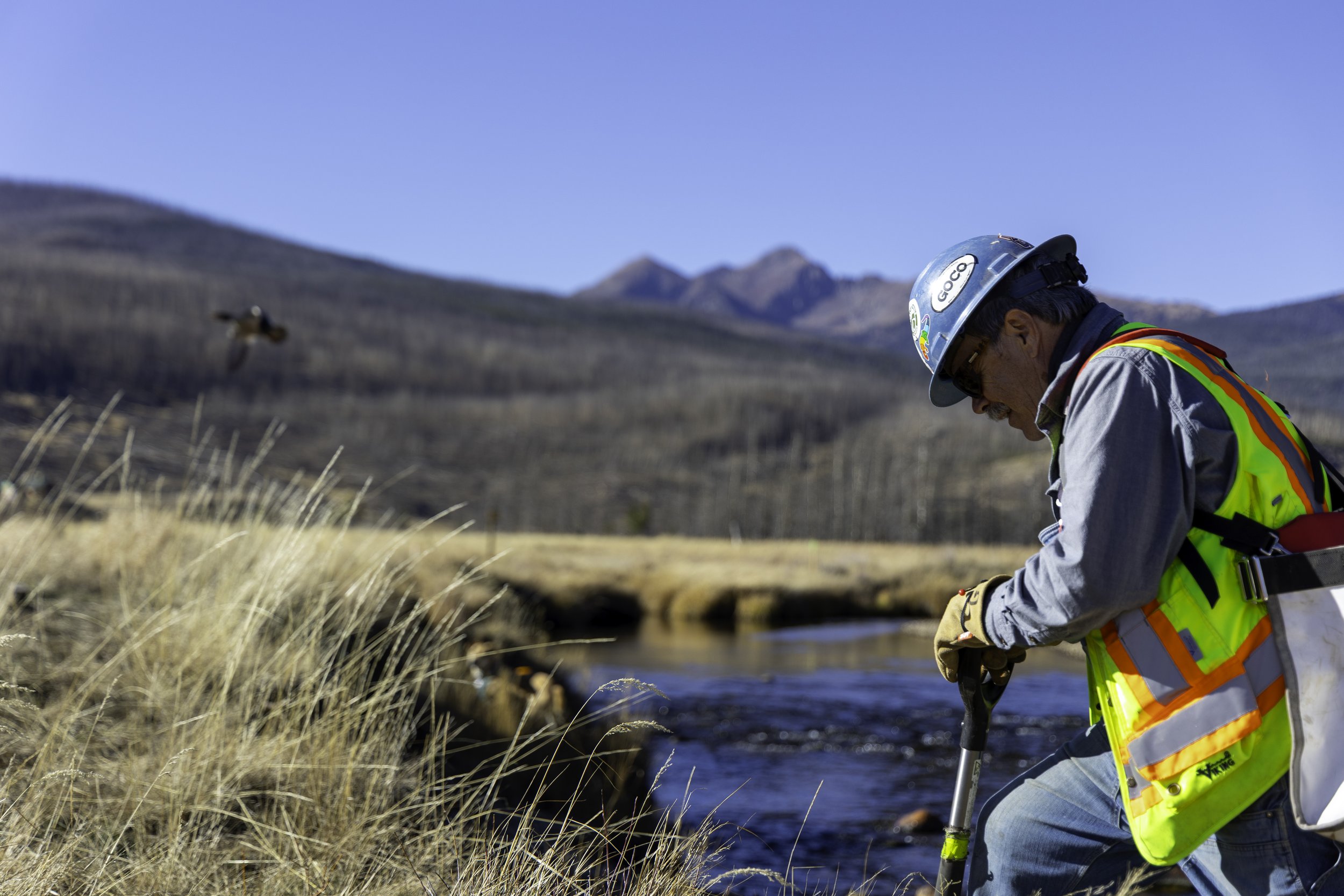 Rector Reforestation-20.jpg