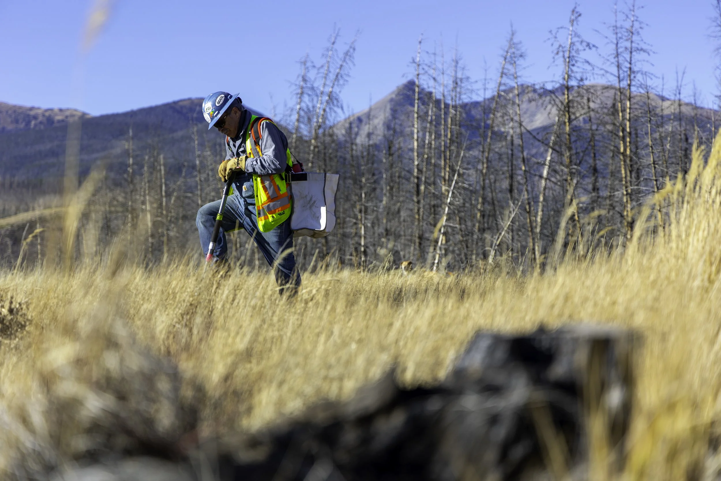 Rector Reforestation-11.jpg