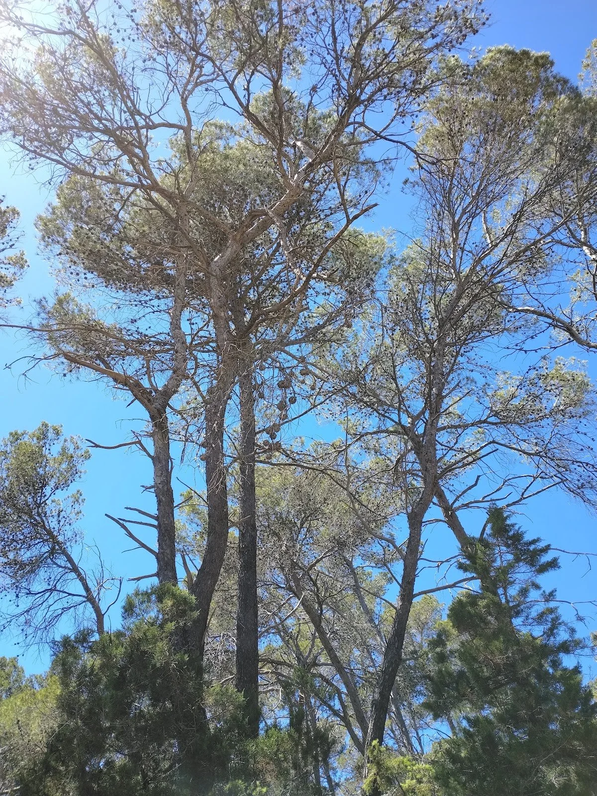 photo.jpg